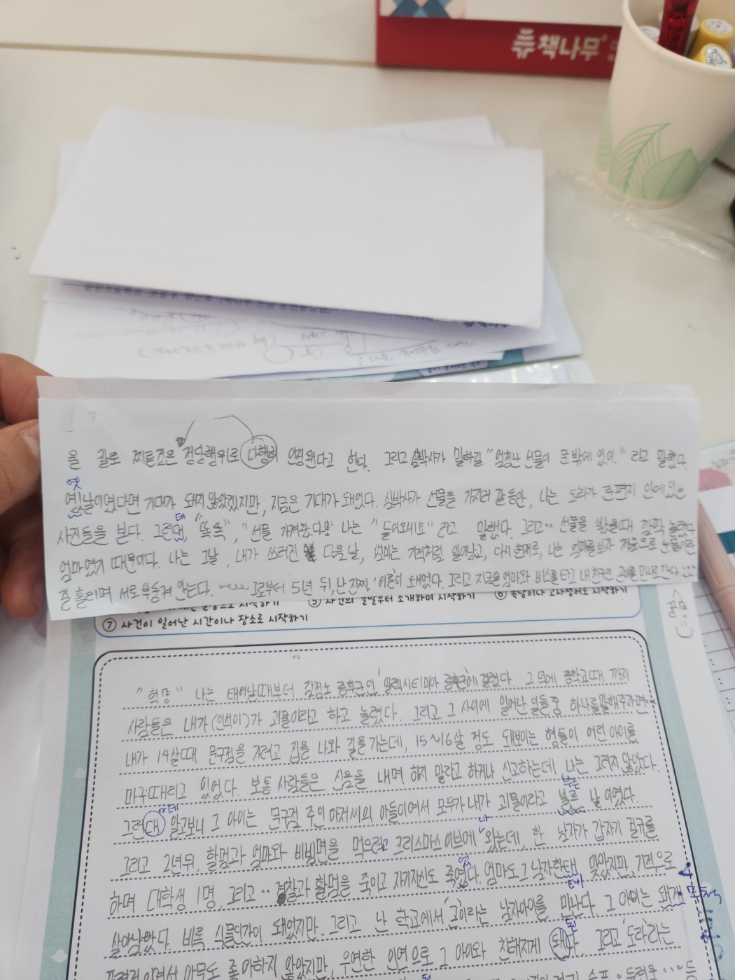 책나무 전남순천용당점