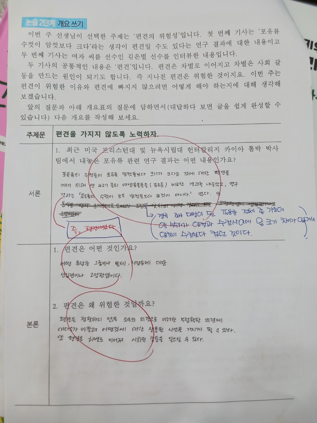 책나무 전남순천용당점