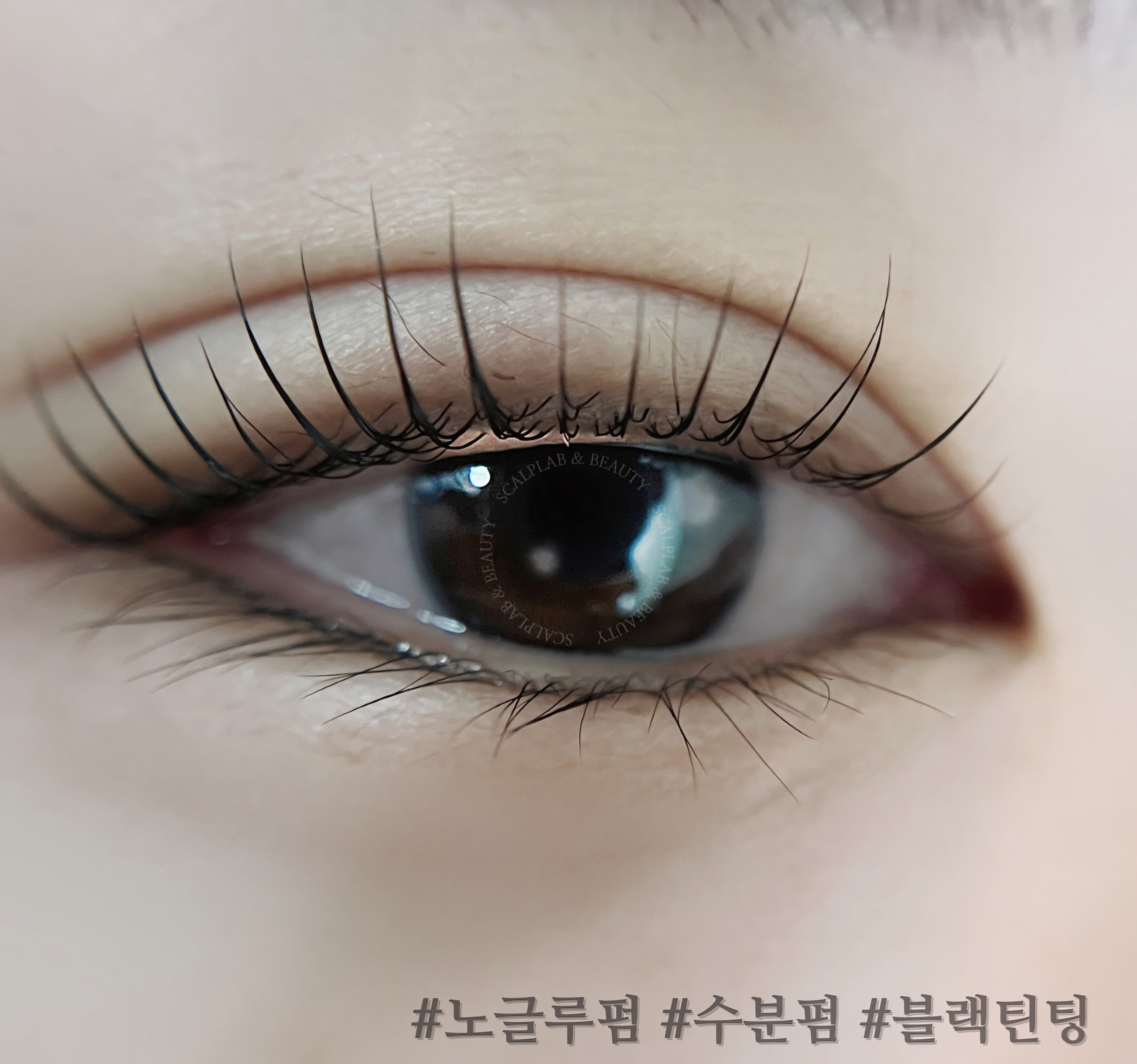 스칼프랩앤뷰티 속눈썹&눈썹&탈모 의정부점