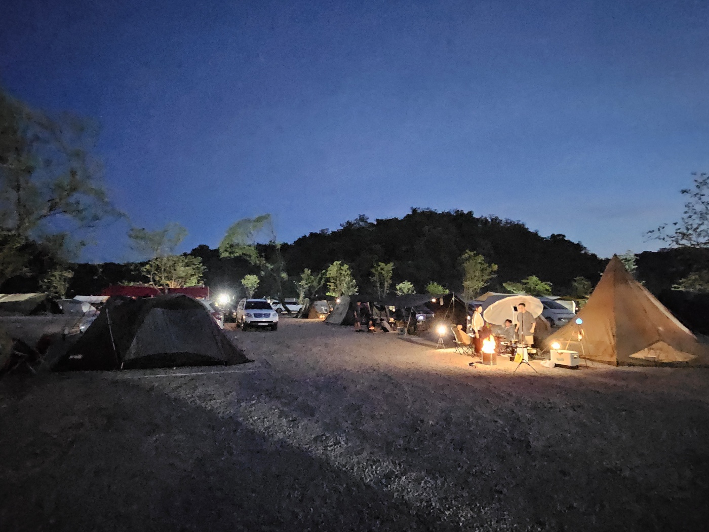 메타세콰이어 오토캠핑장
