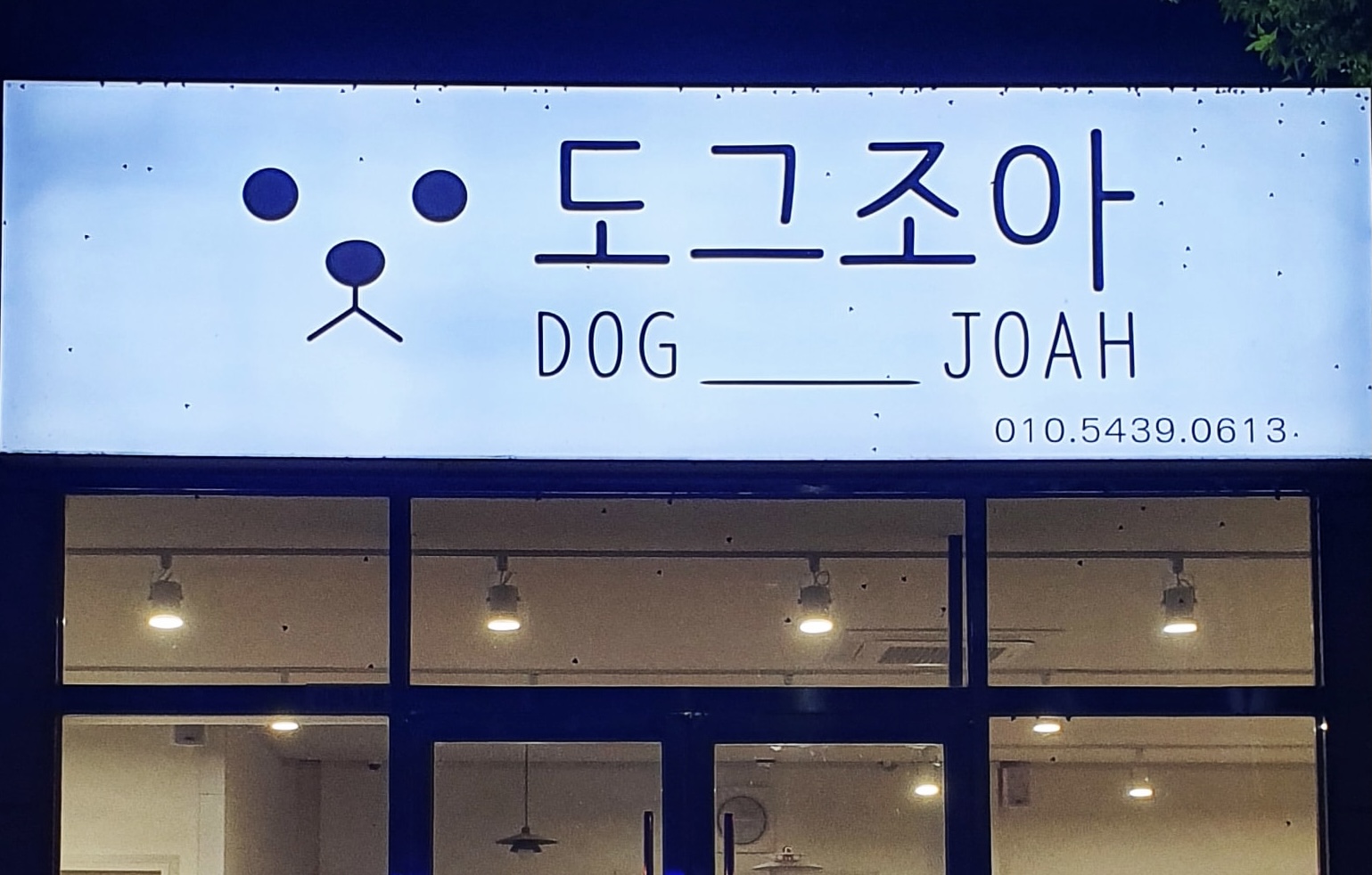 도그조아 대표 이미지