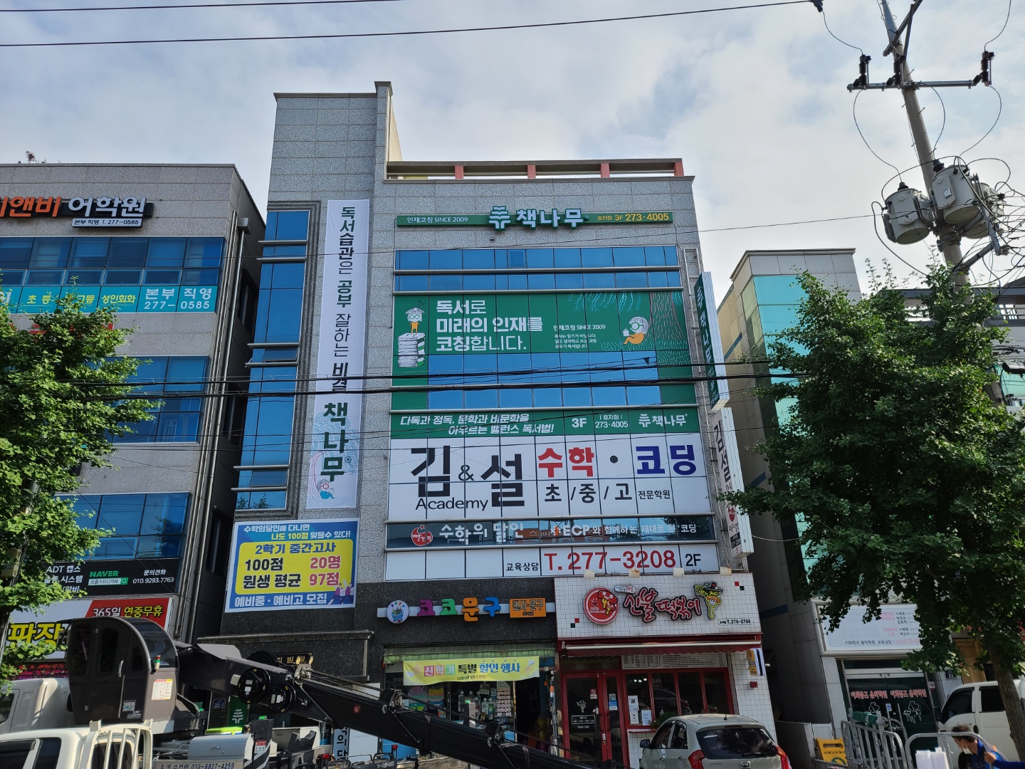 책나무 포항효자점