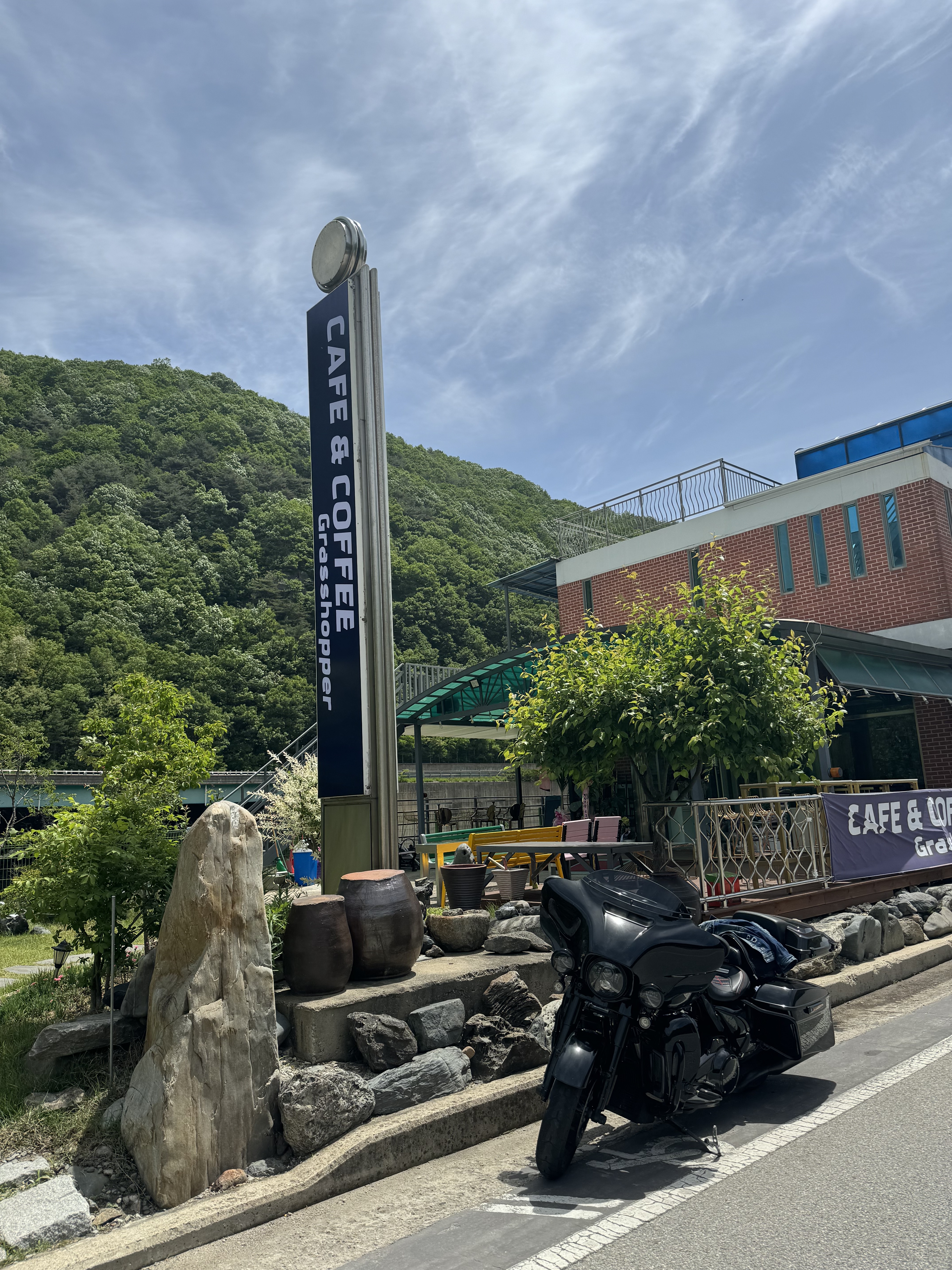 그래스호퍼 경상 애견맛집
