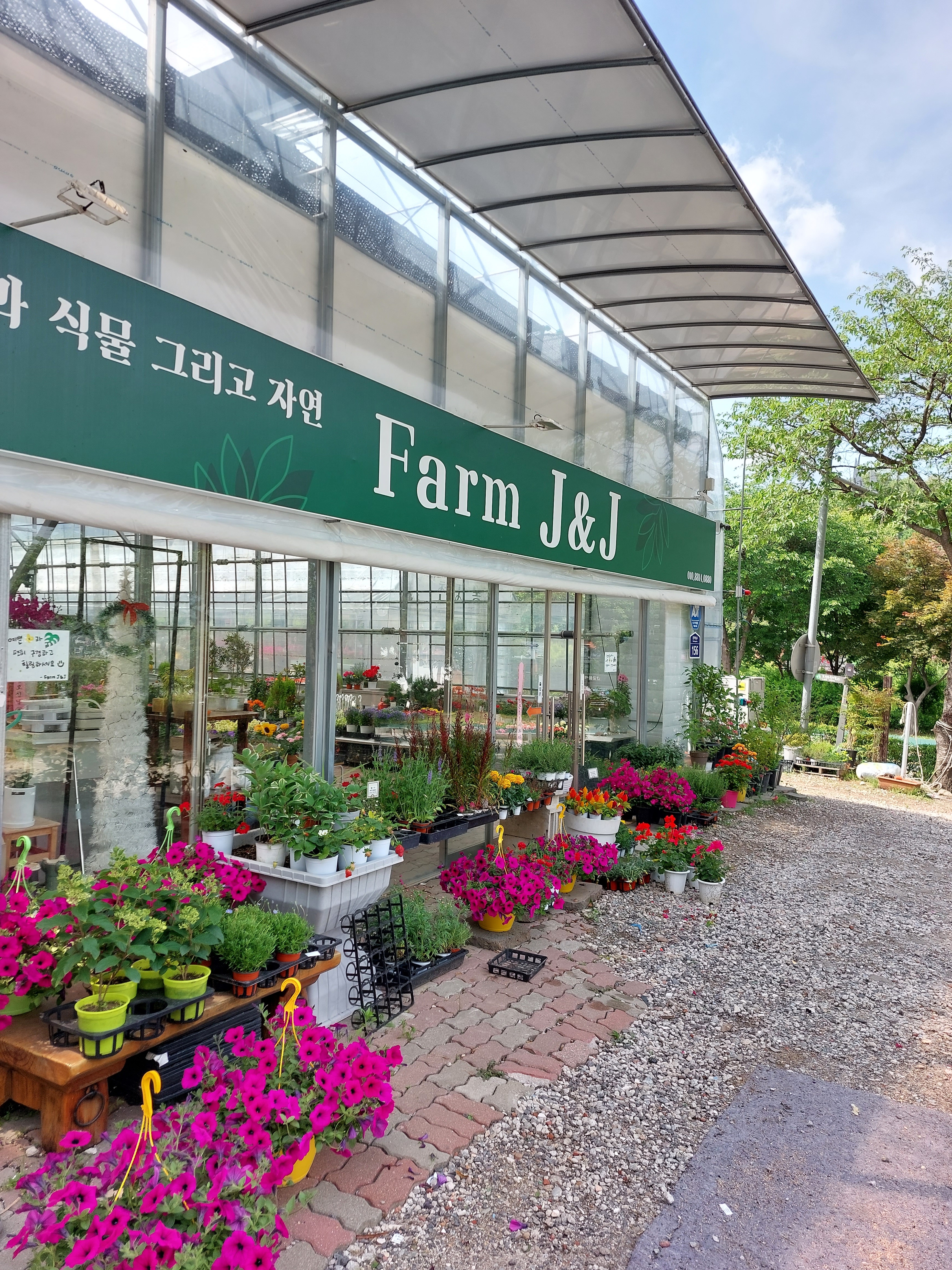 팜J&J