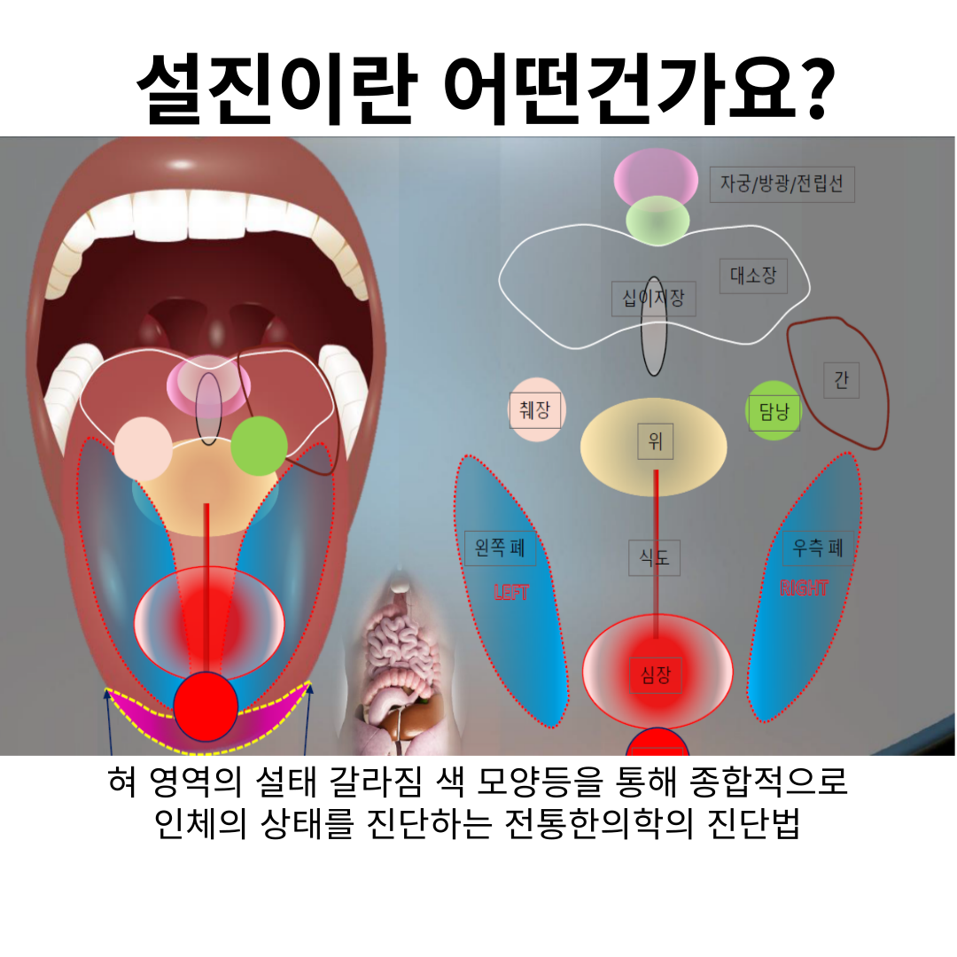 거북이한의원