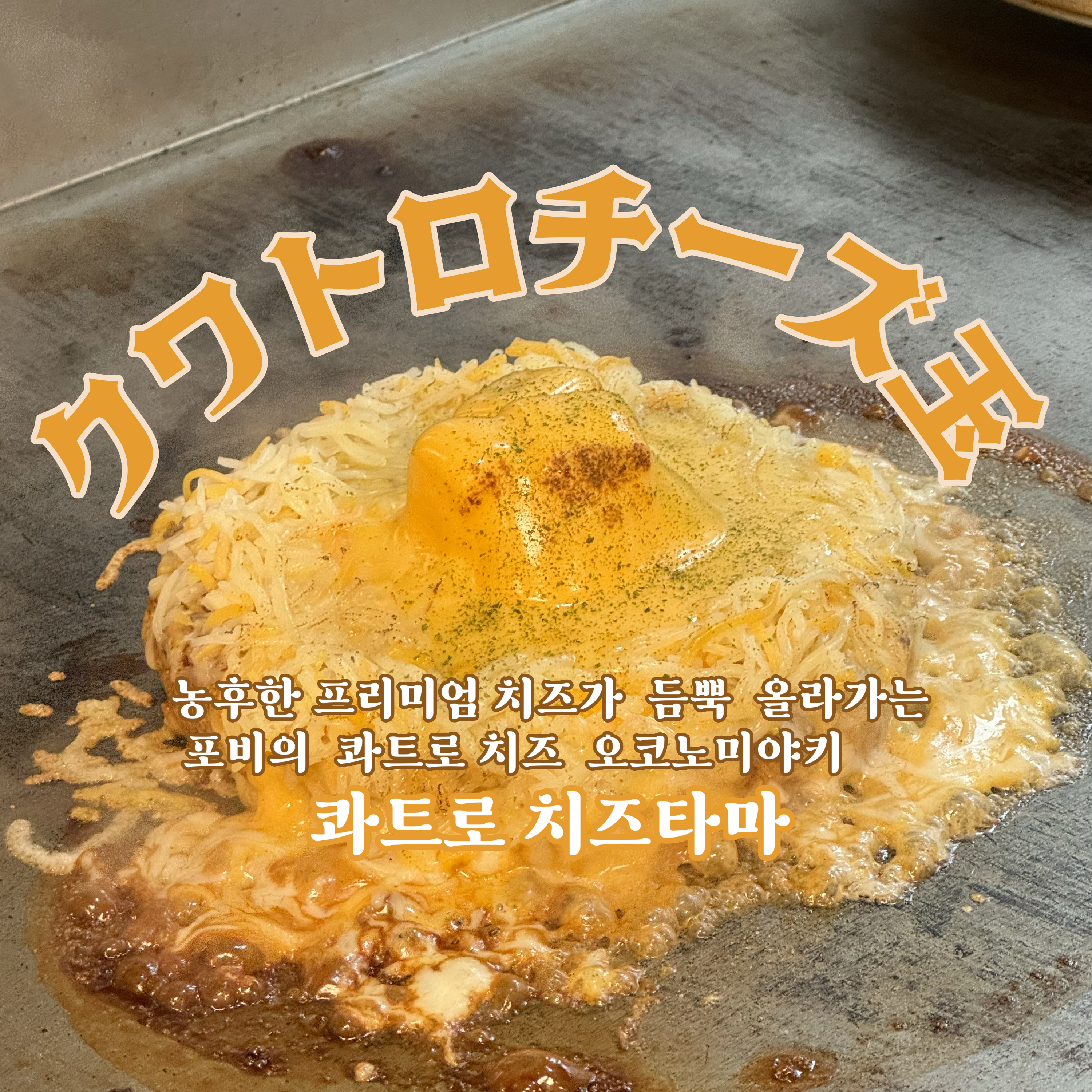 포비 연남