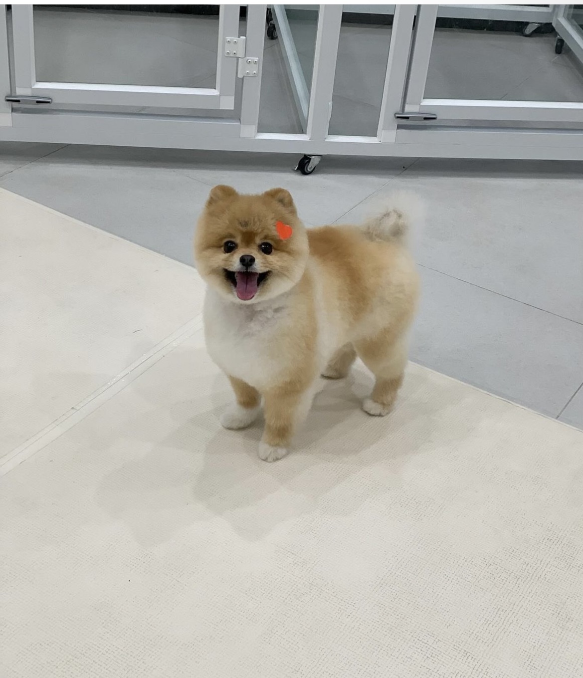 위드나나