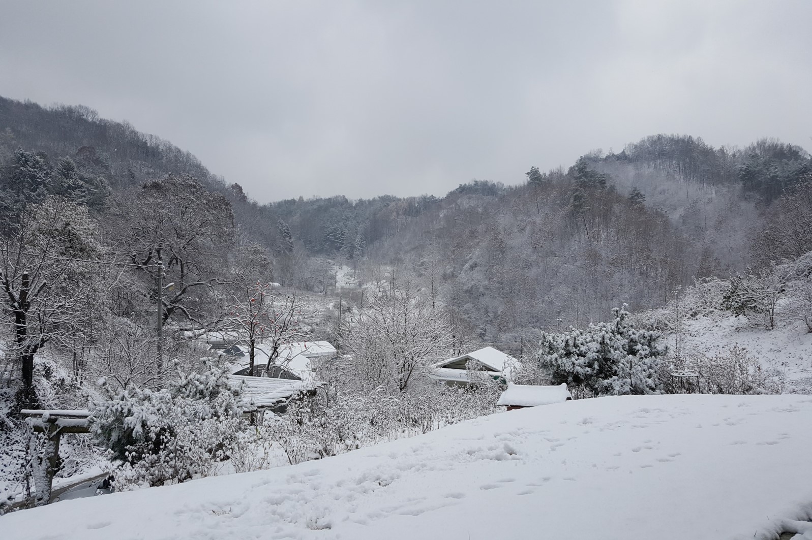 천지수향