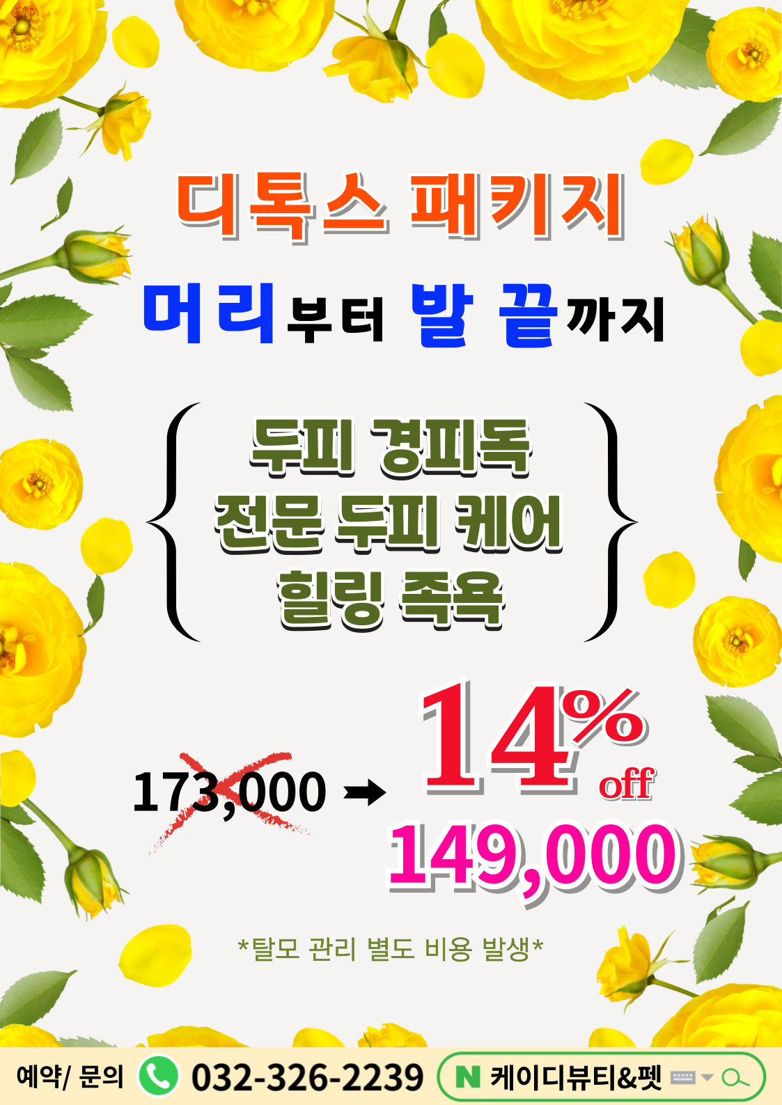 케이디뷰티&펫 대표 이미지