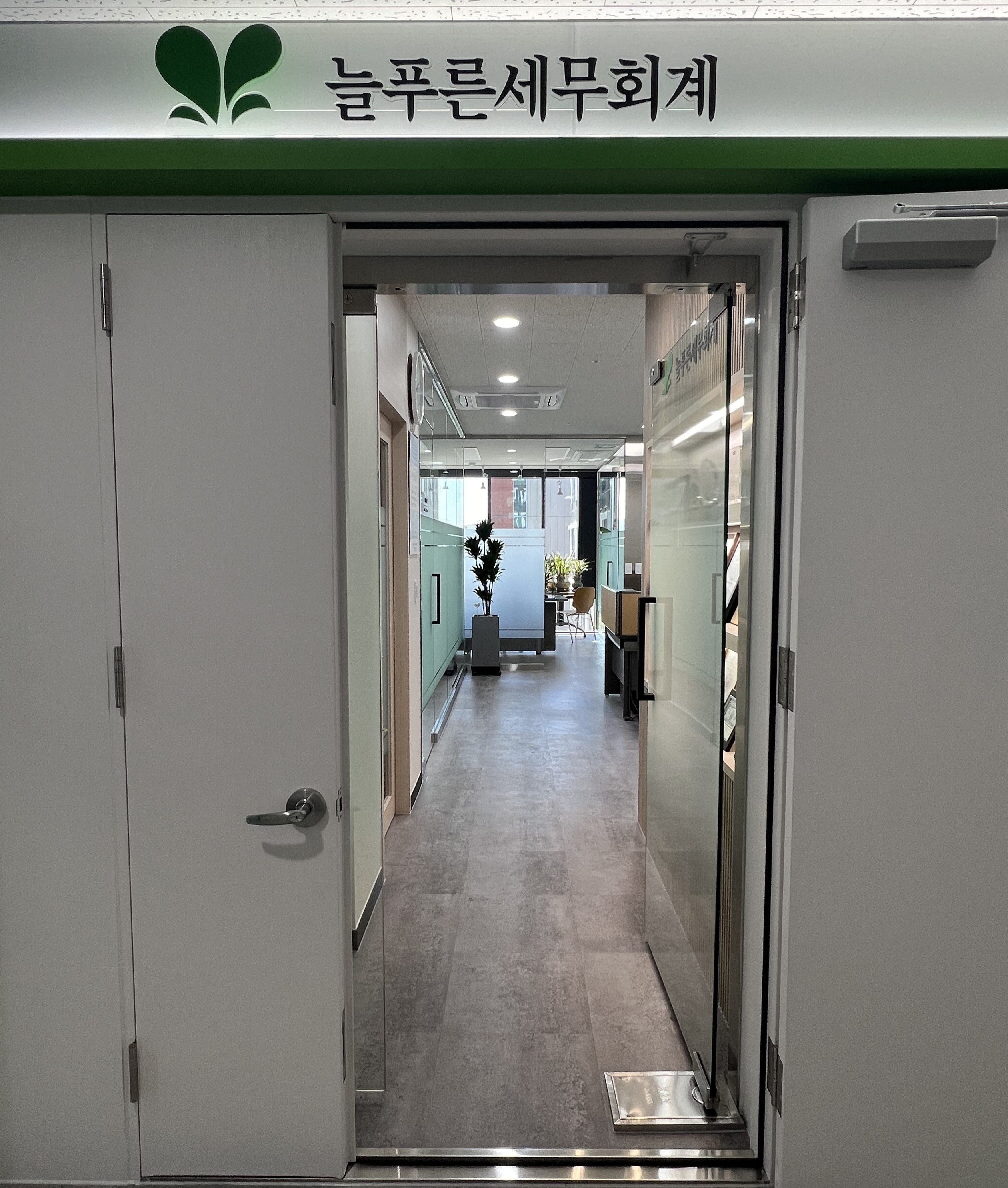 늘푸른세무회계