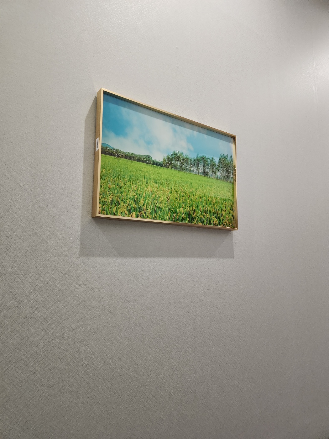 명품 photo 10