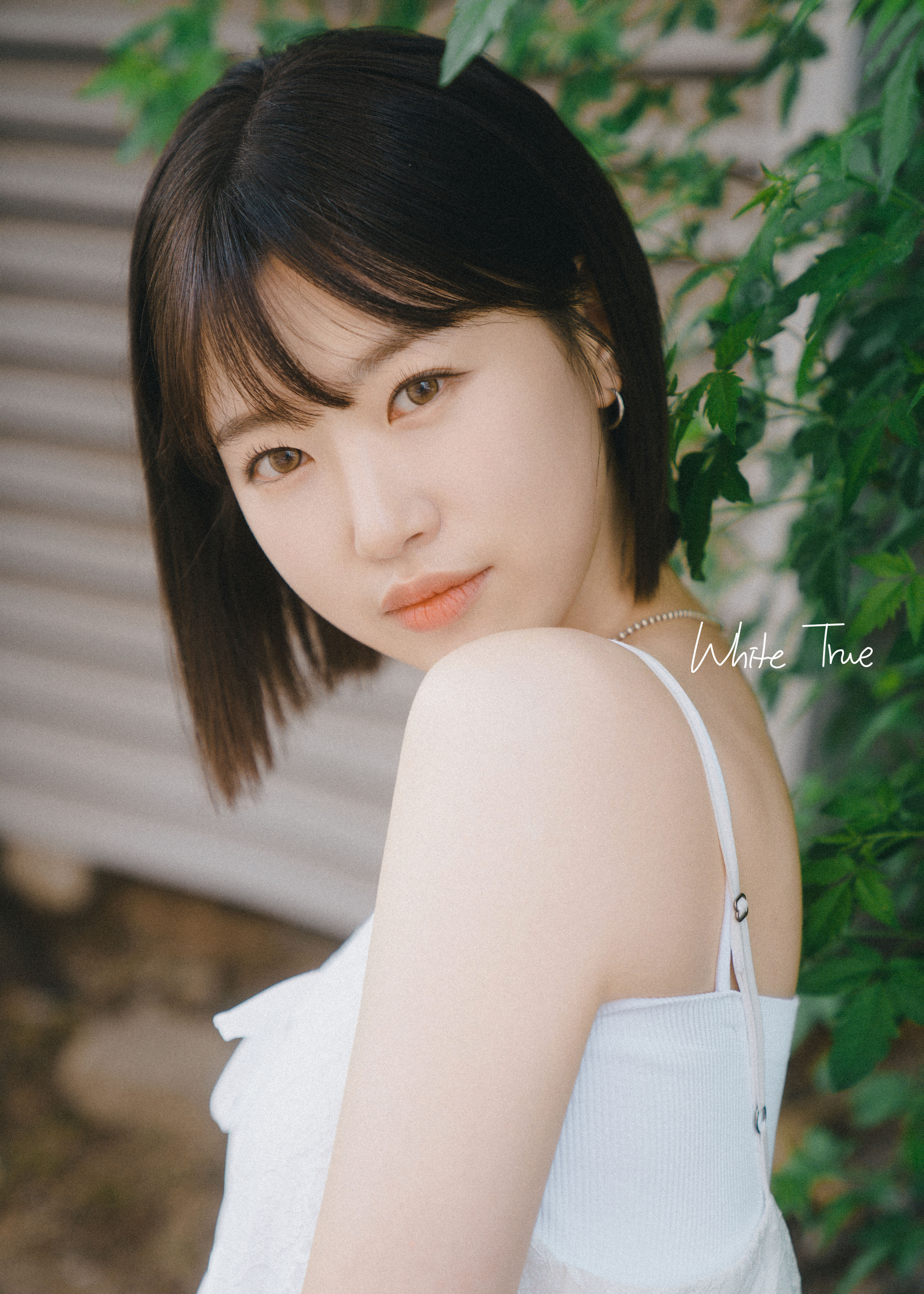 화이트루