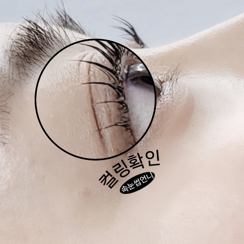 속눈썹언니 대표 이미지