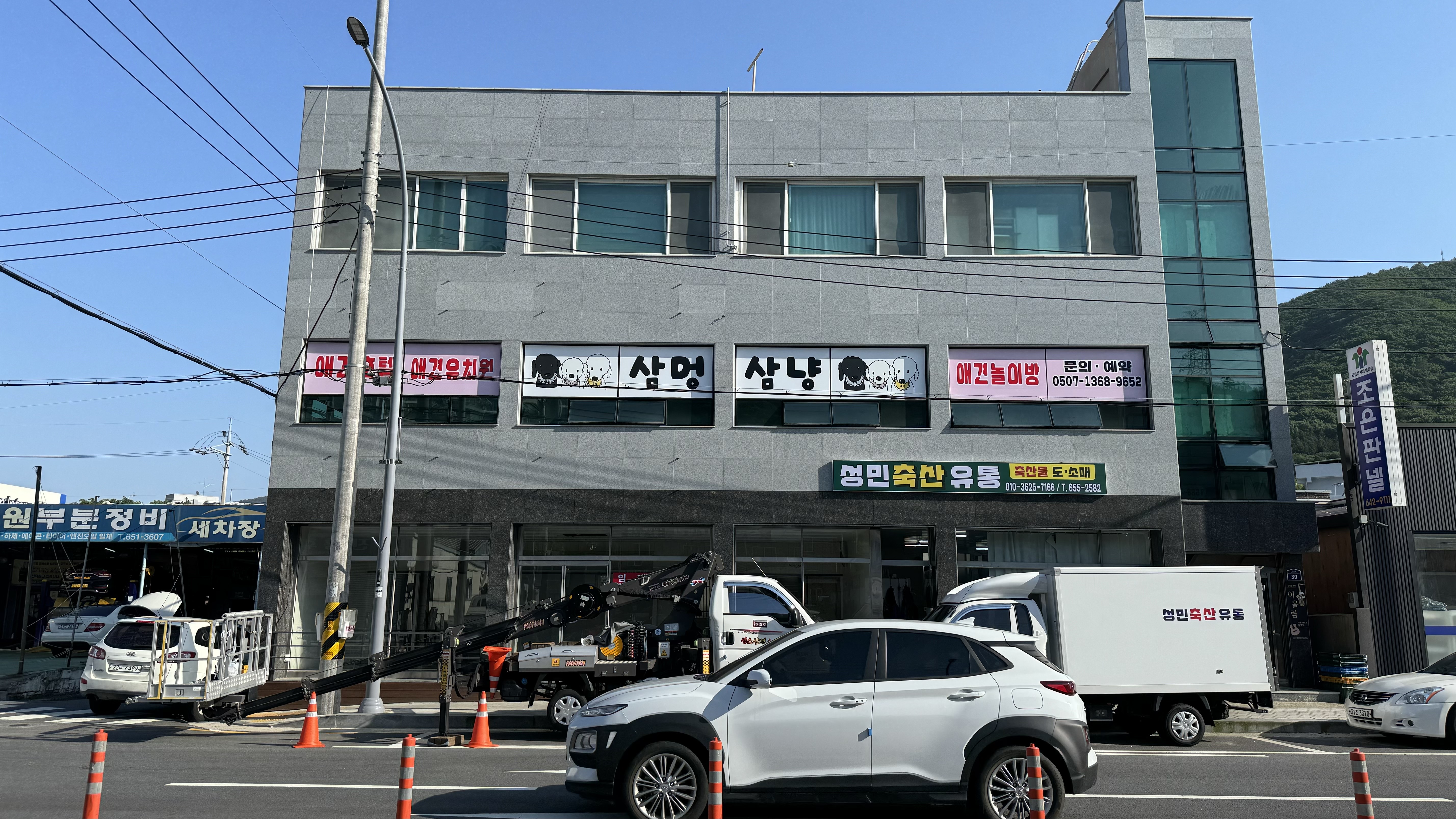 삼멍삼냥 대표 이미지