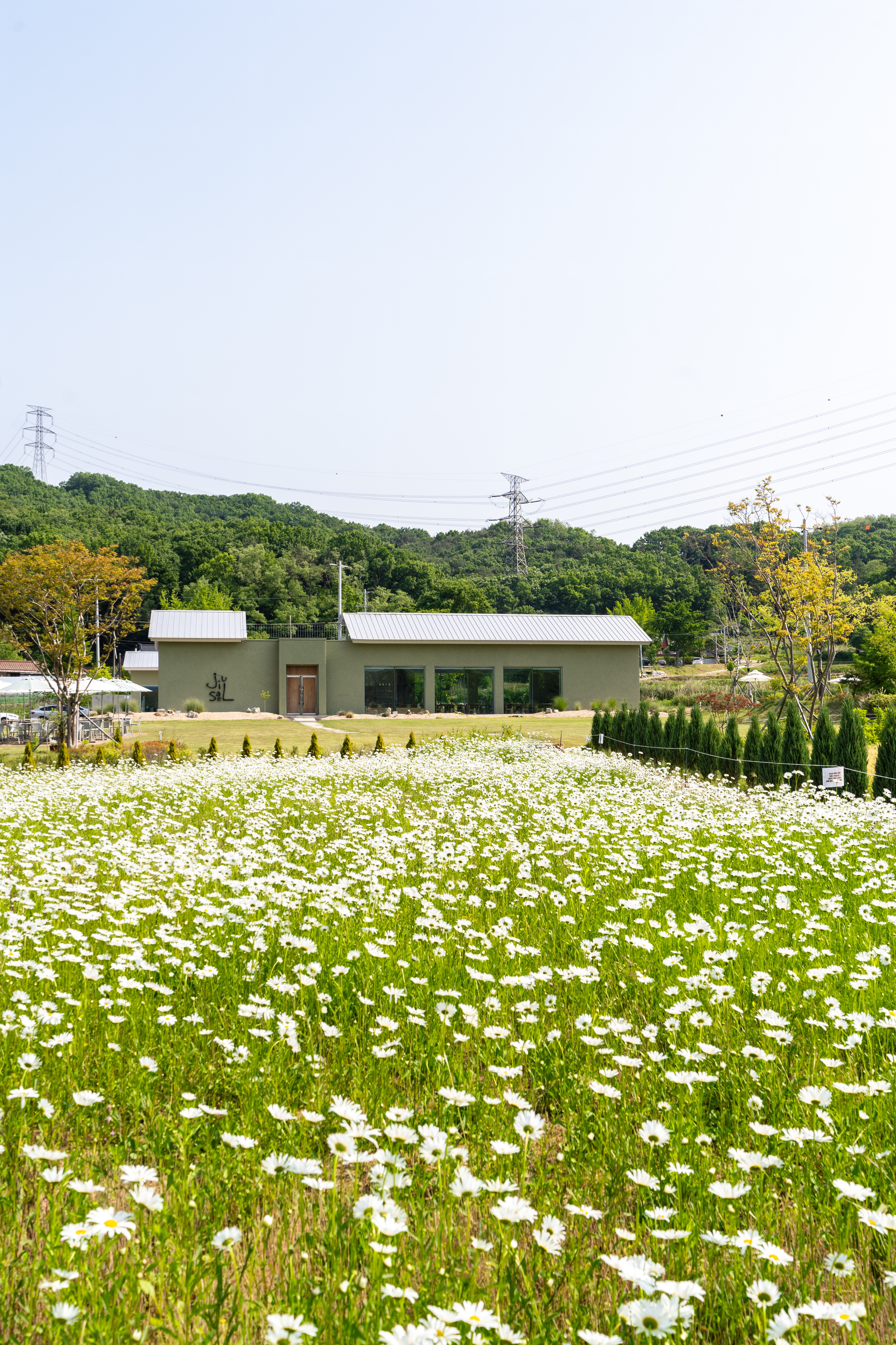 카페지새울