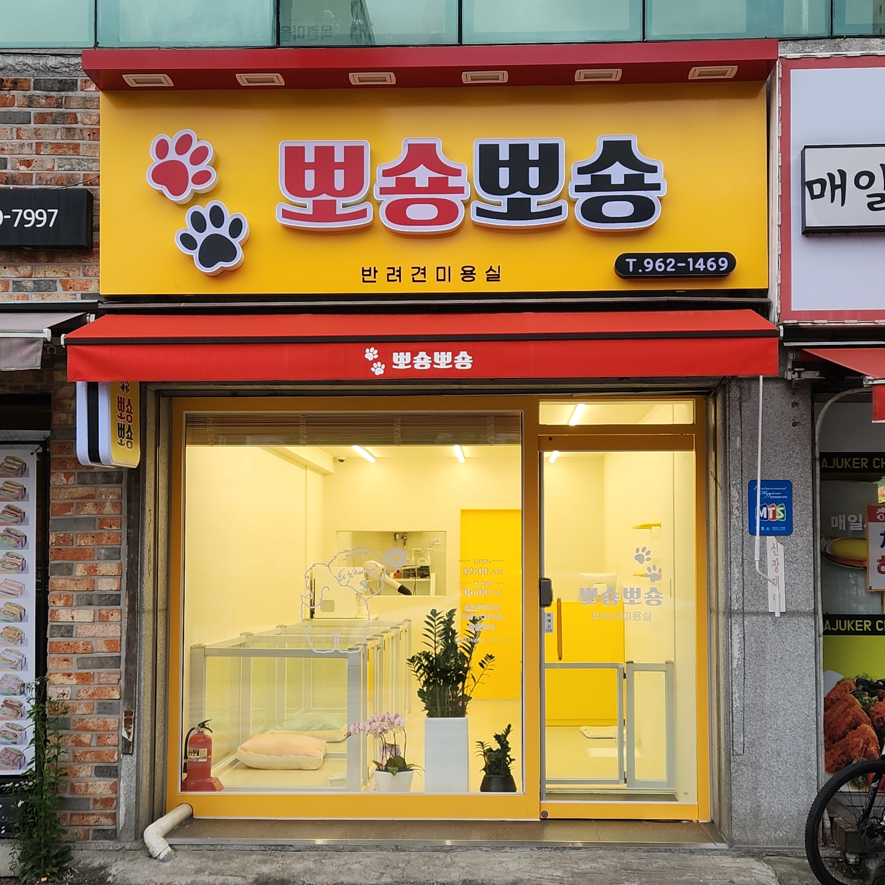 뽀숑뽀숑