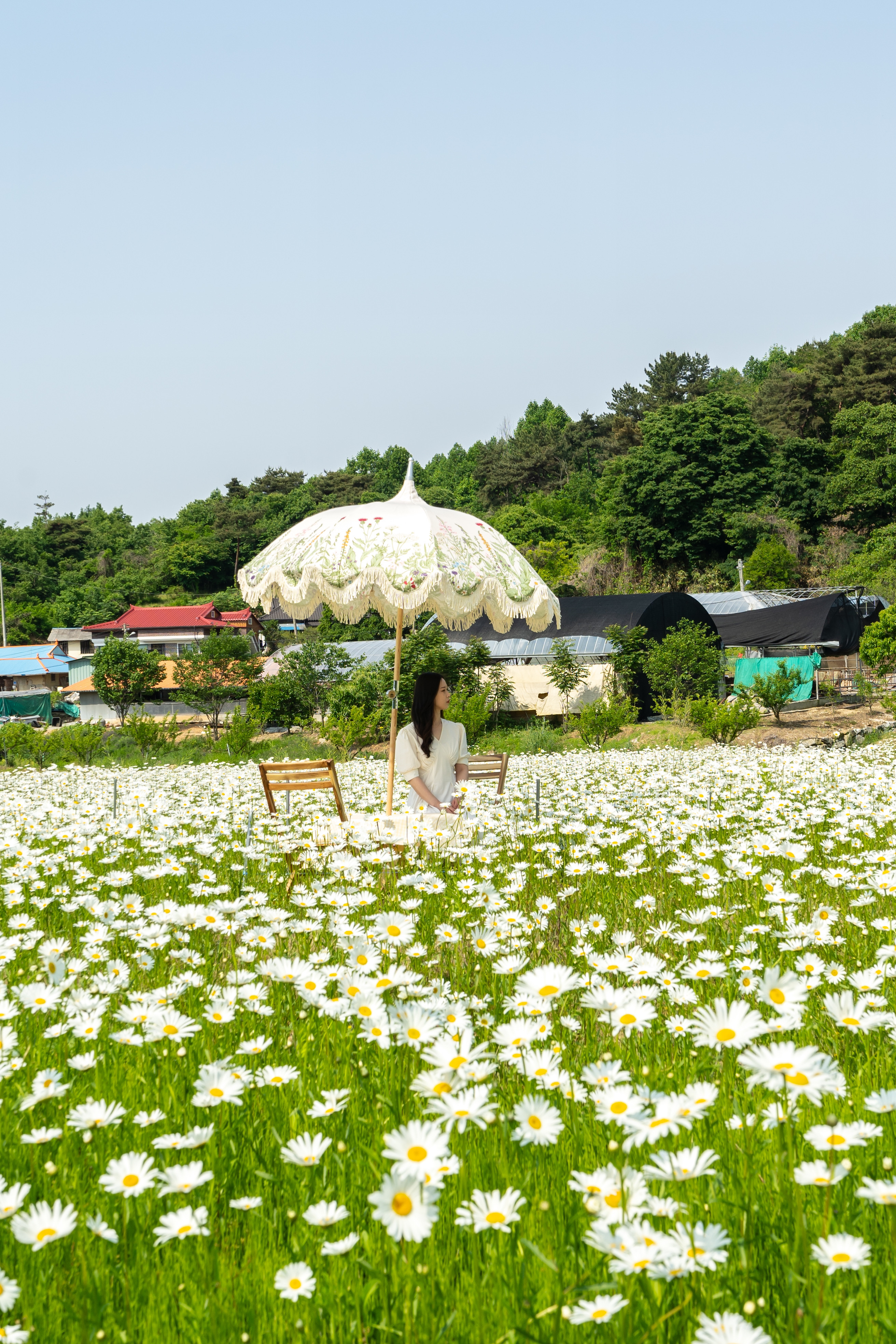 카페지새울 설명사진