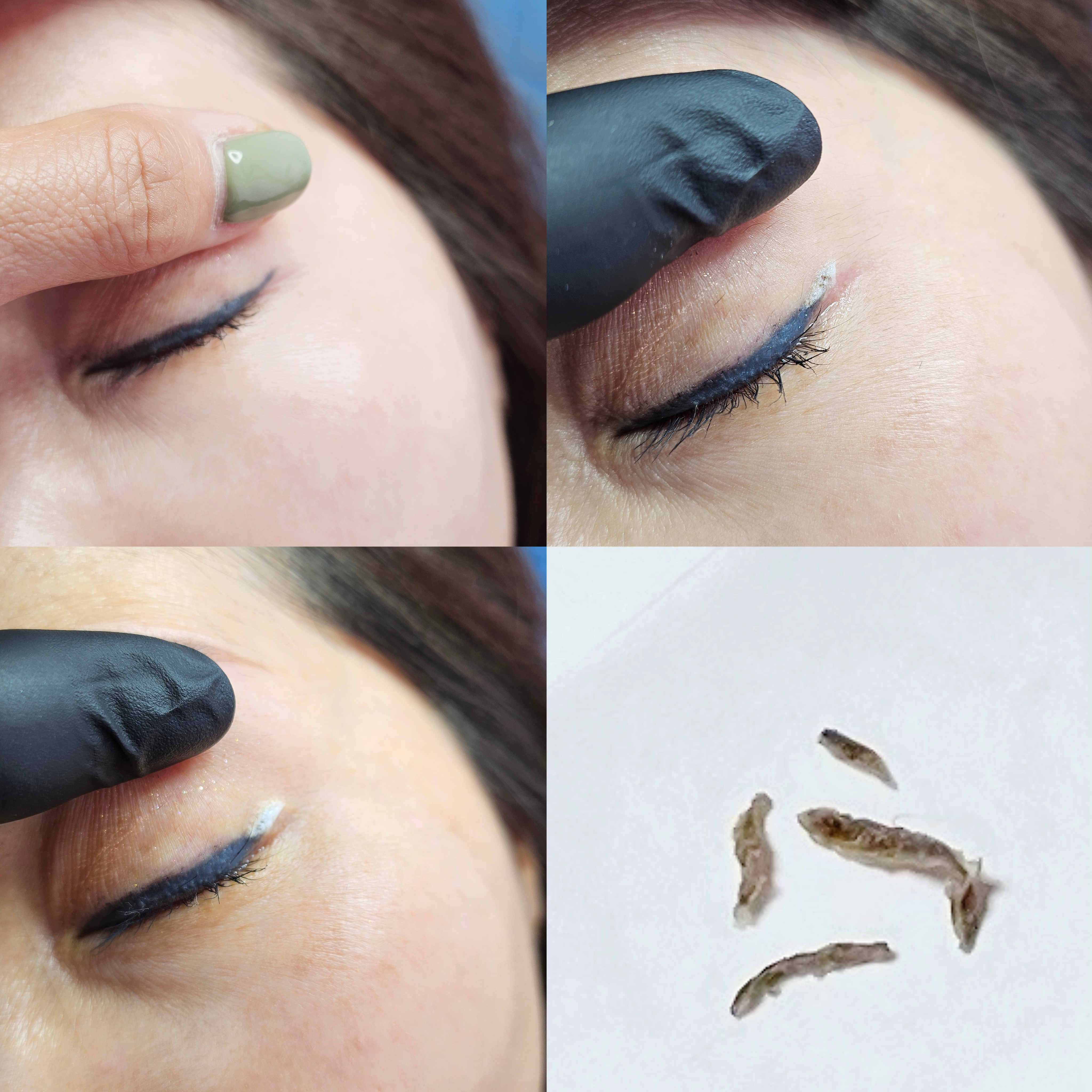 온눈썹 대표 이미지