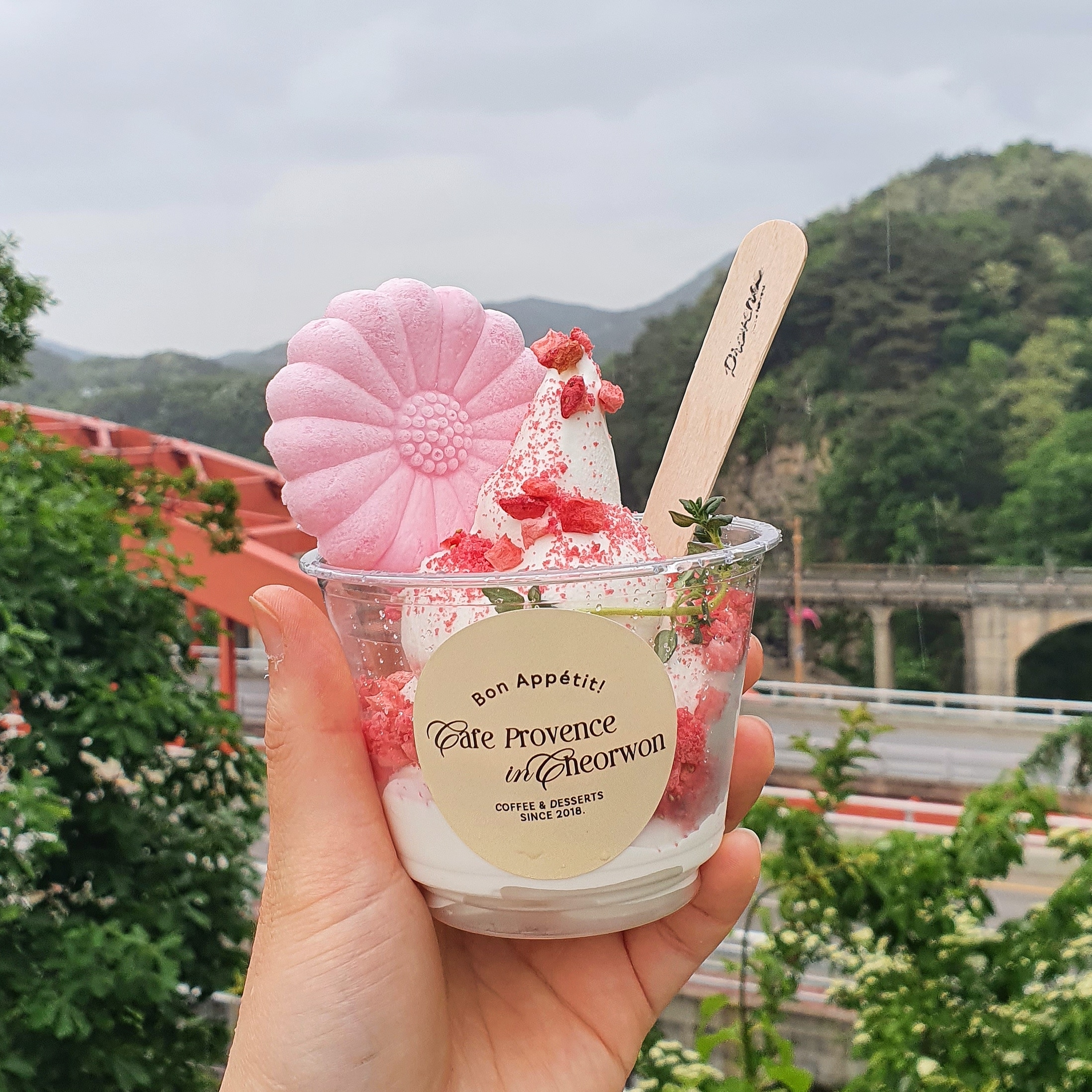 카페 프로방스