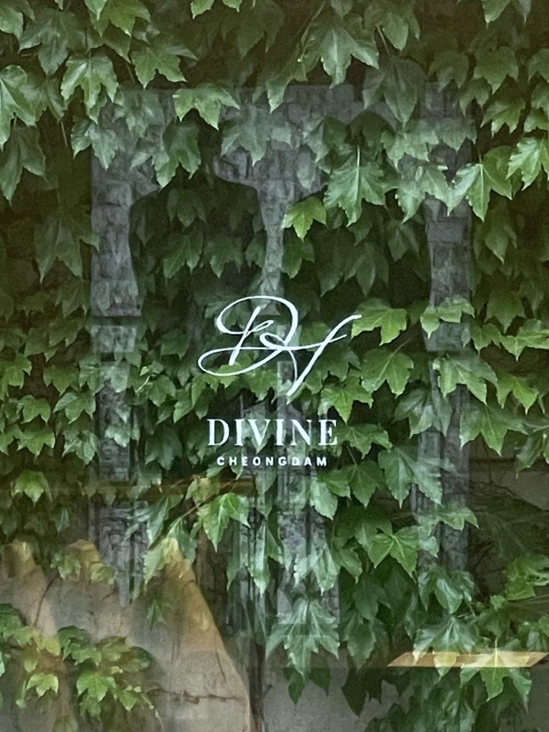 디바인청담 대표 이미지