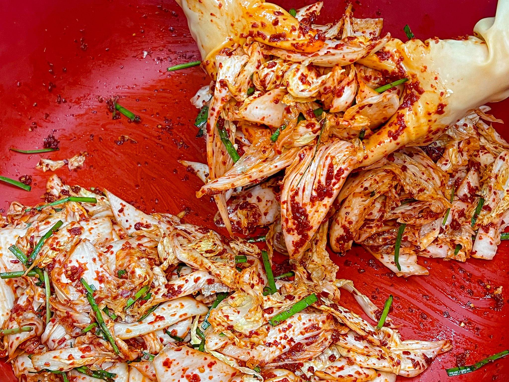 최가네샤브버섯칼국수 성수직영점 대표 이미지