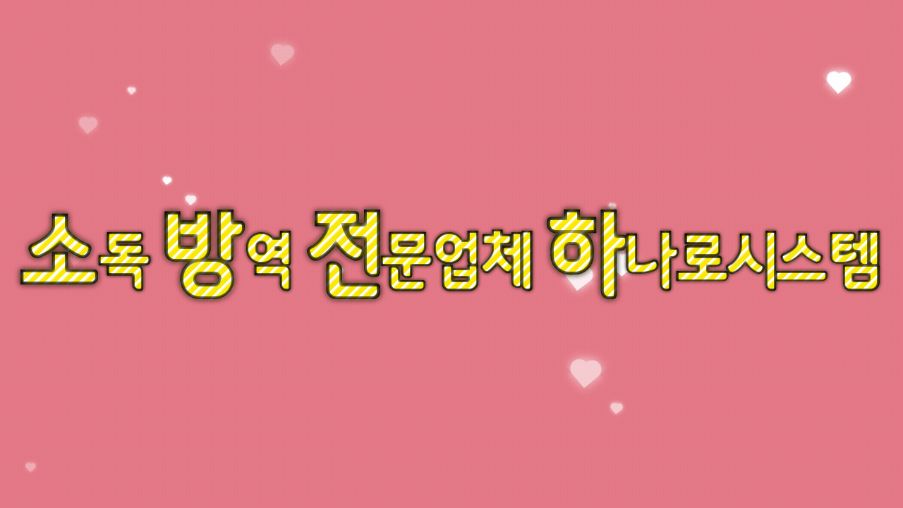 하나로시스템