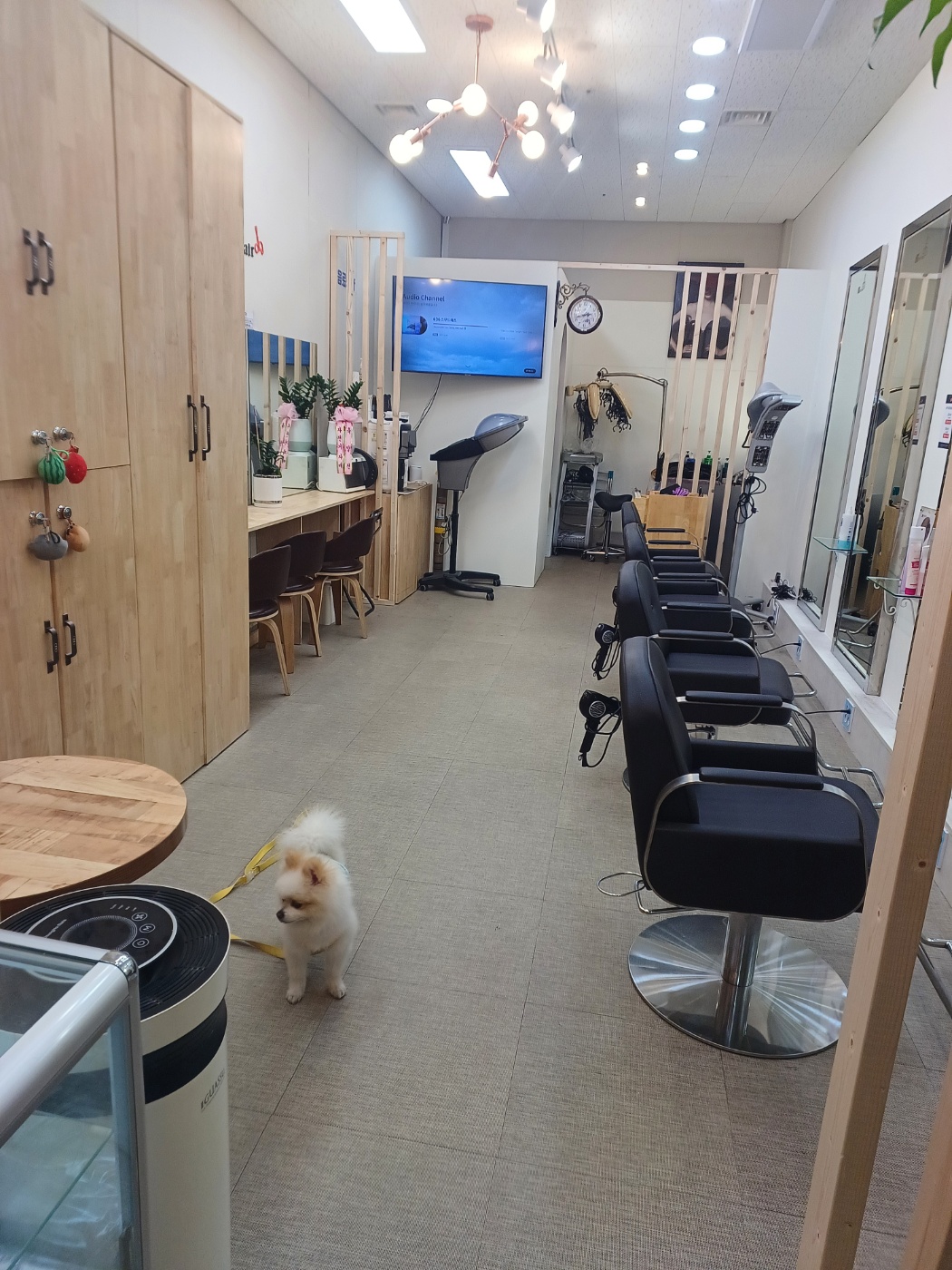 디톤헤어 상일동역점