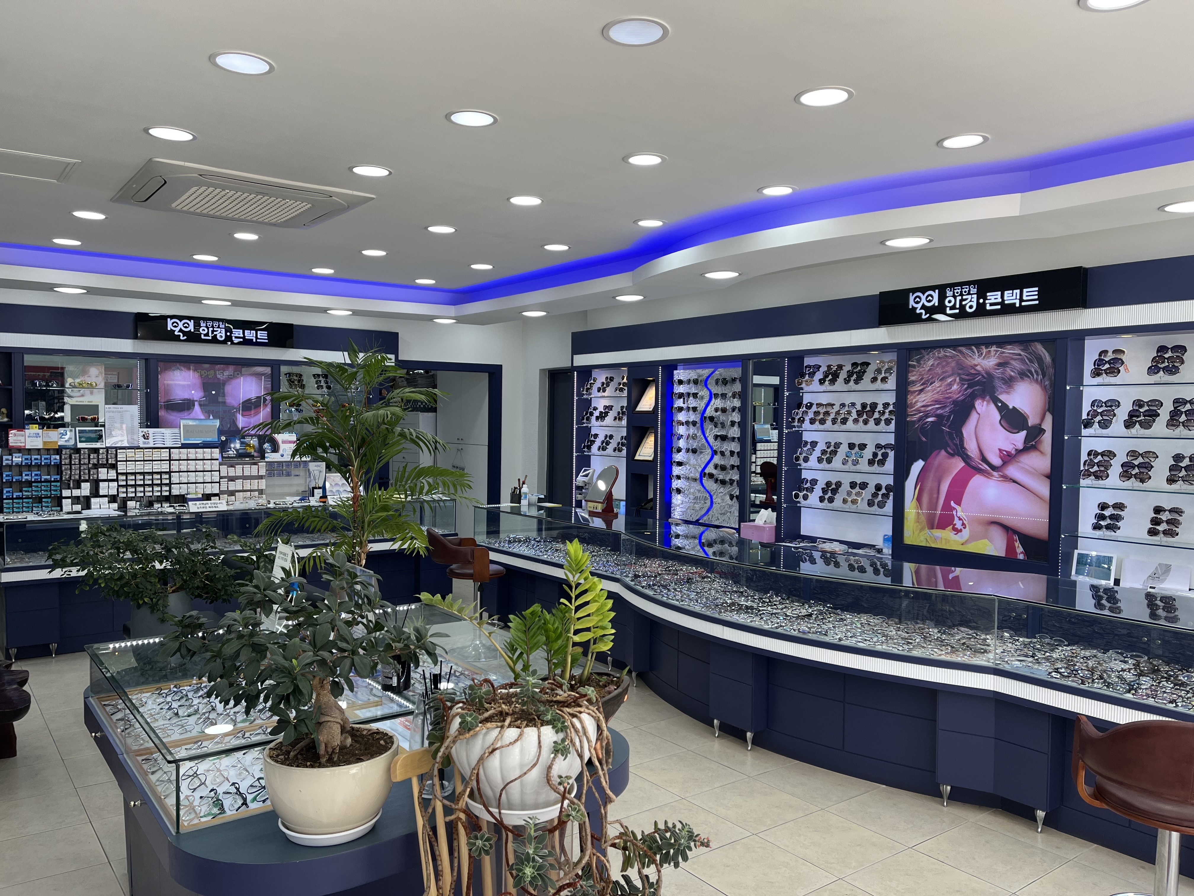 1001안경콘택트 철원동송점 대표 이미지