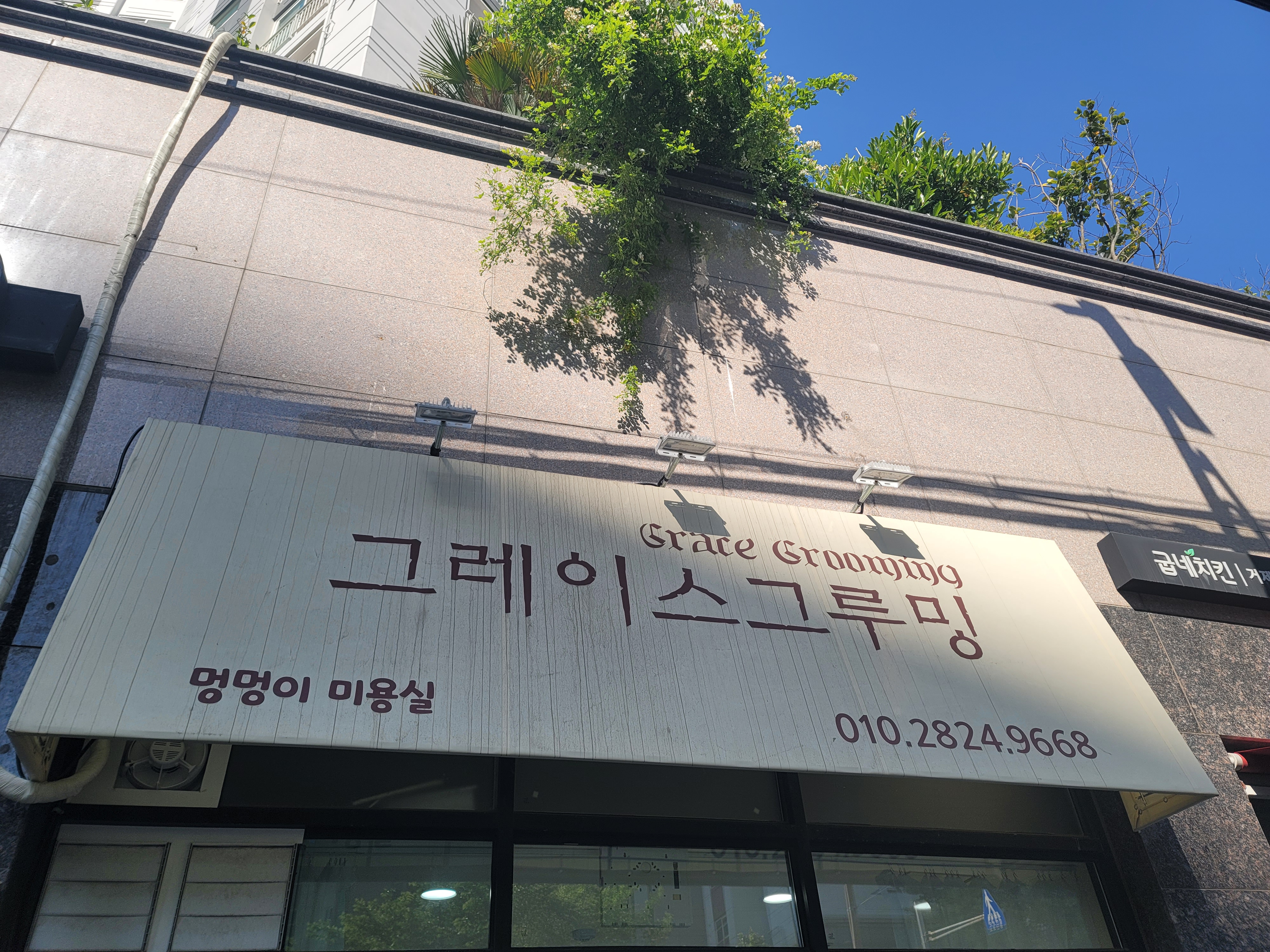 그레이스그루밍