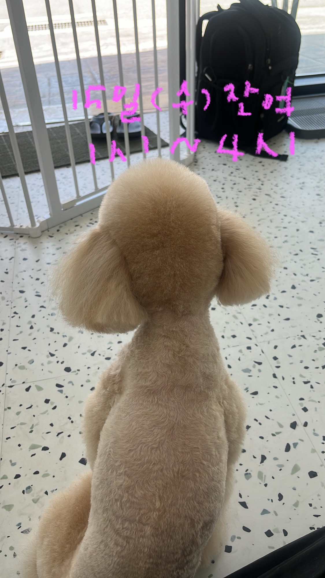 가드기멍 대표 이미지