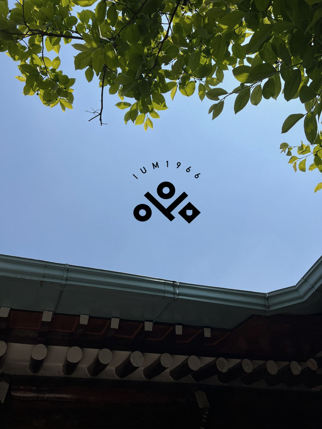 이음 1966