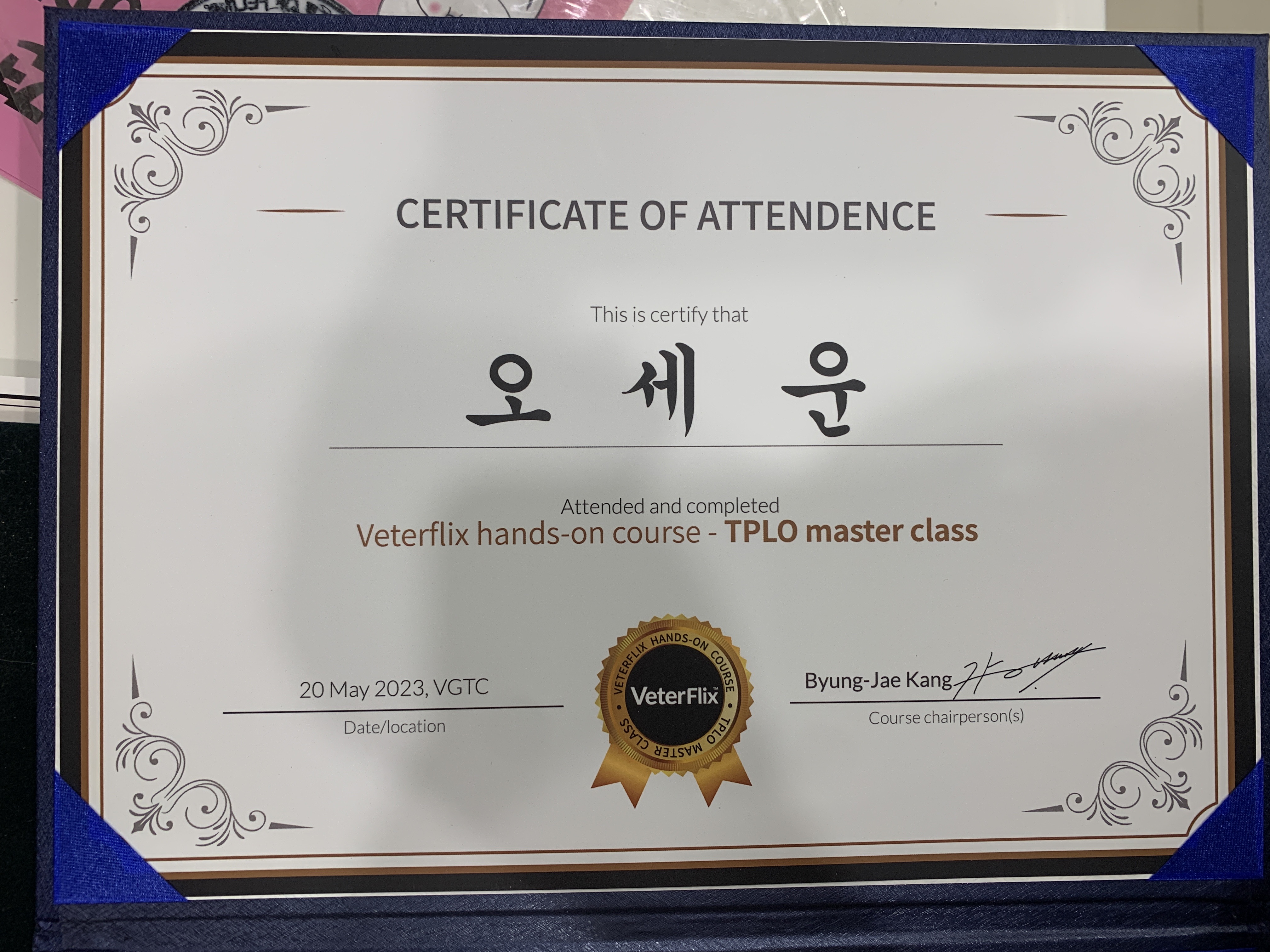 스타동물병원 대표 이미지