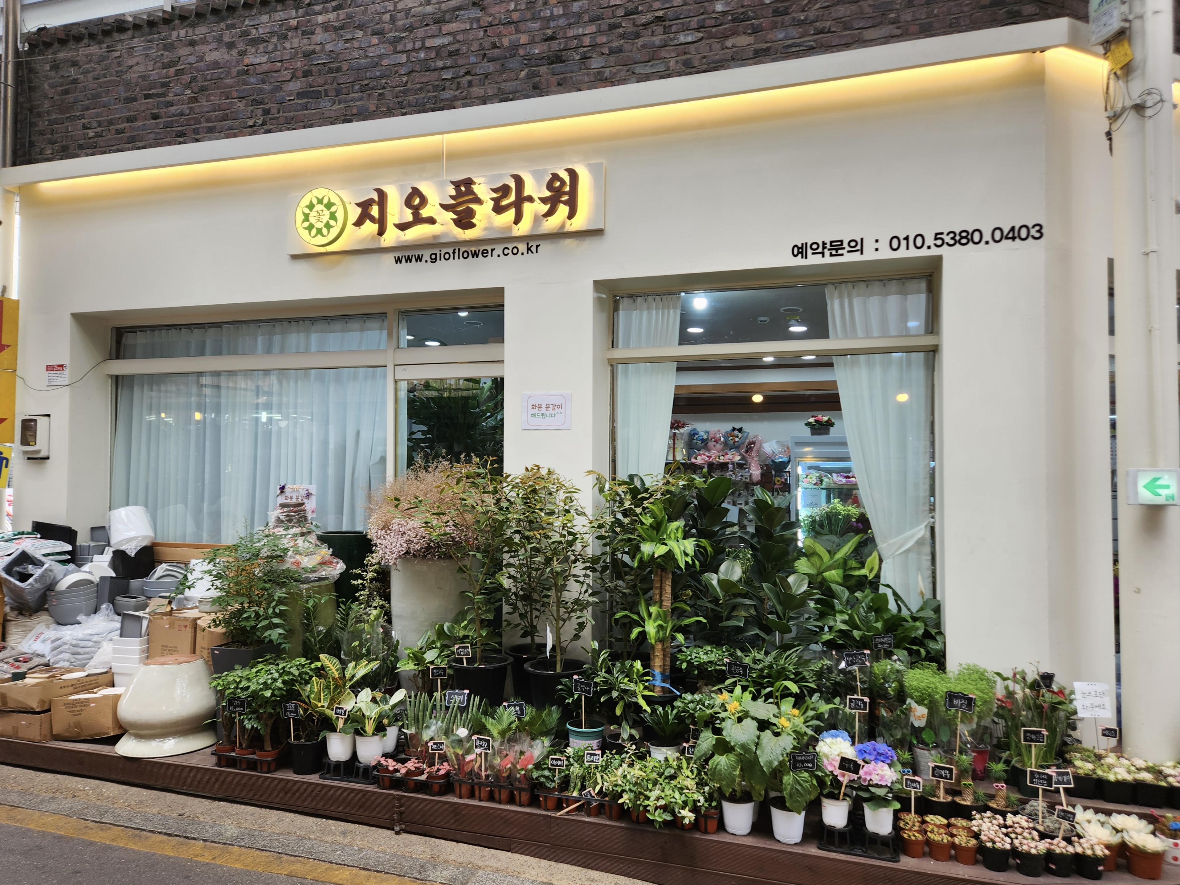 지오플라워