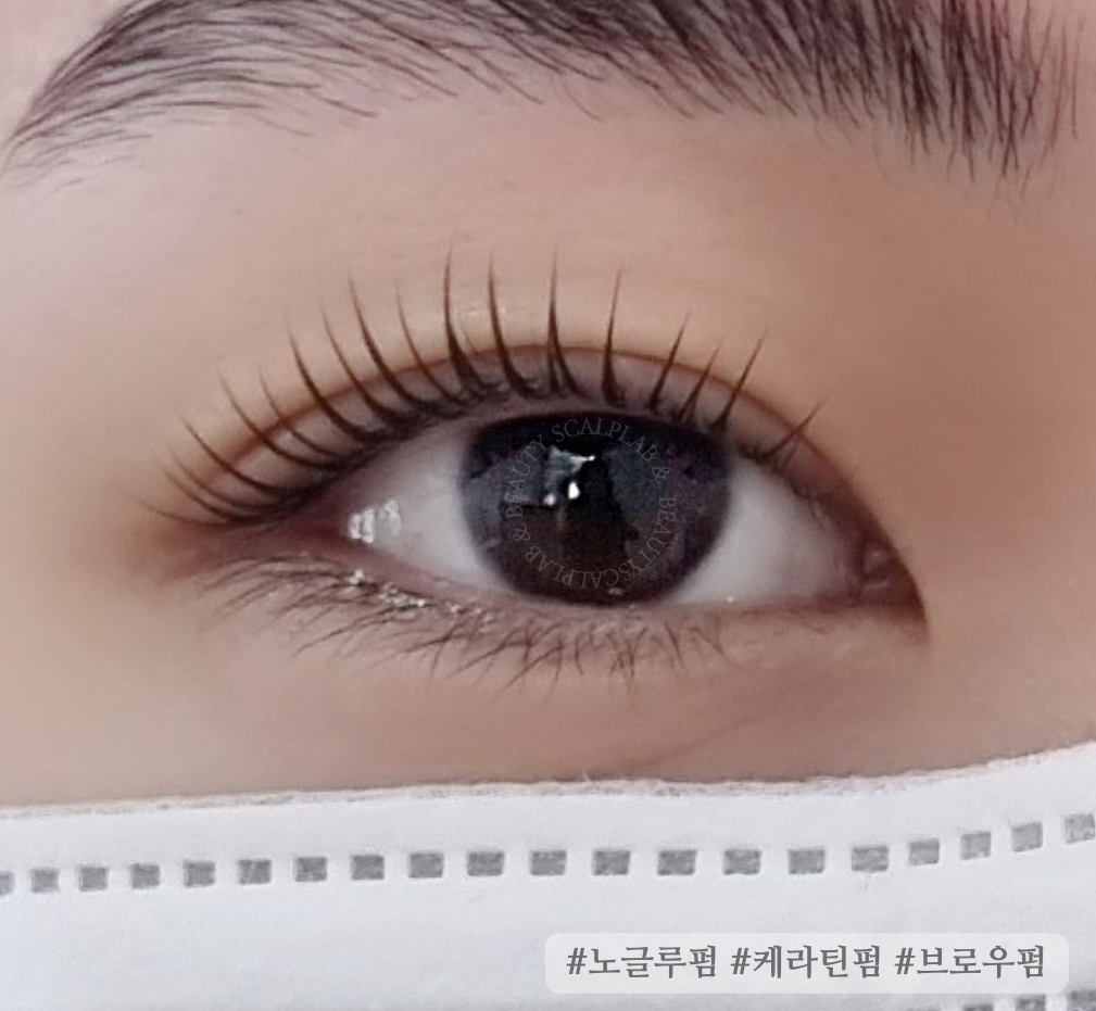 스칼프랩앤뷰티 속눈썹&눈썹&탈모 의정부점