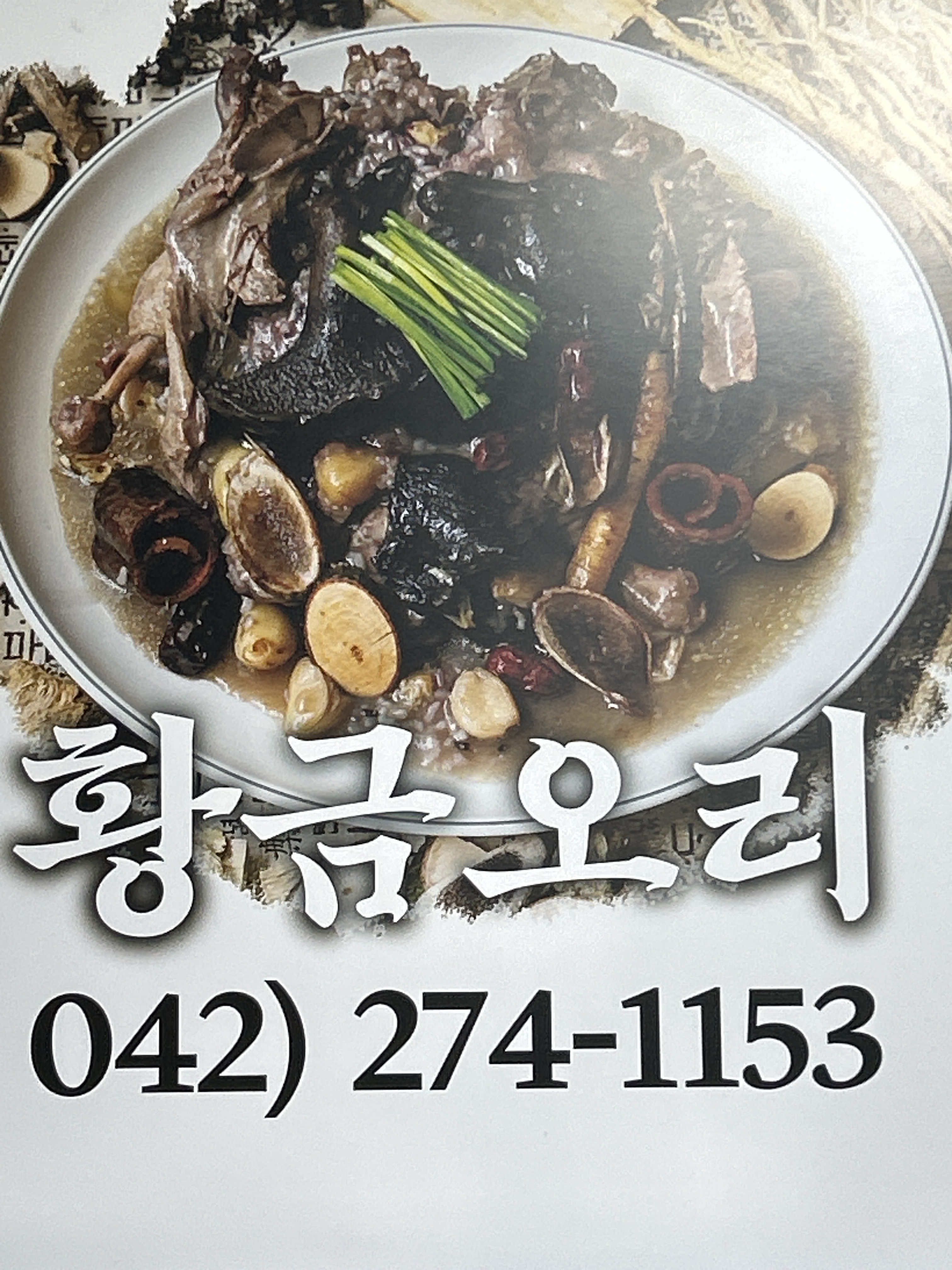 황금오리