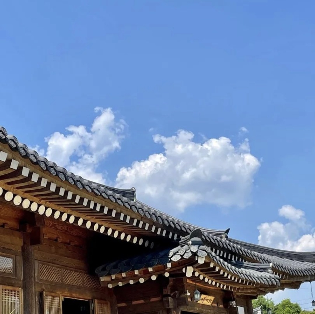 연꽃인연 설명사진