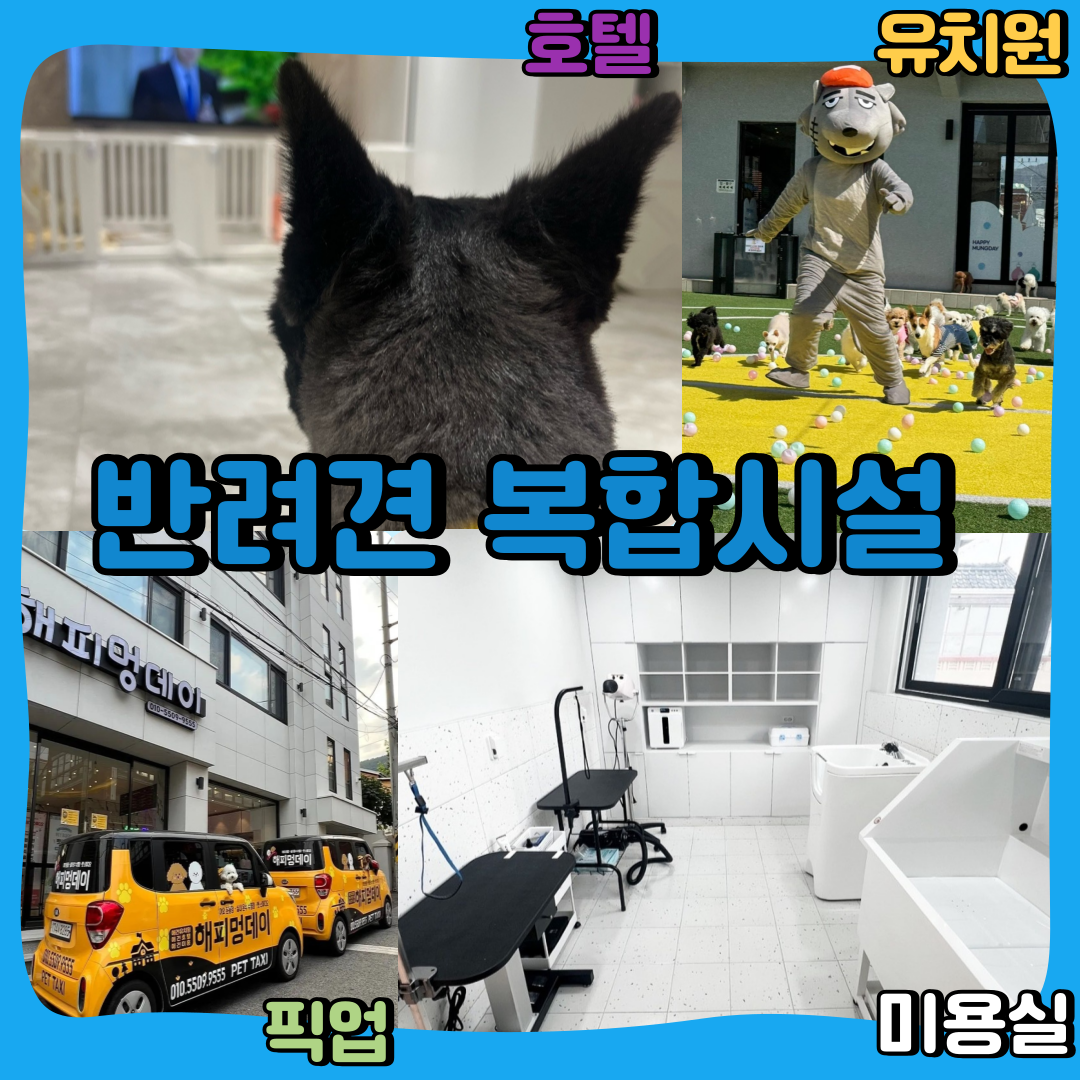 김반장오리주물럭앤펍 9