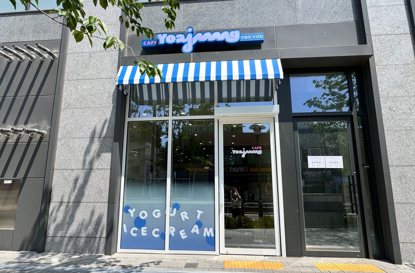 요거트아이스크림의정석 불광점