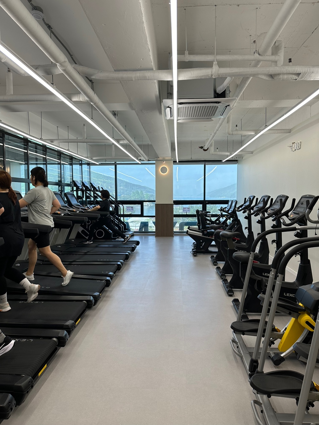 정관장GYM