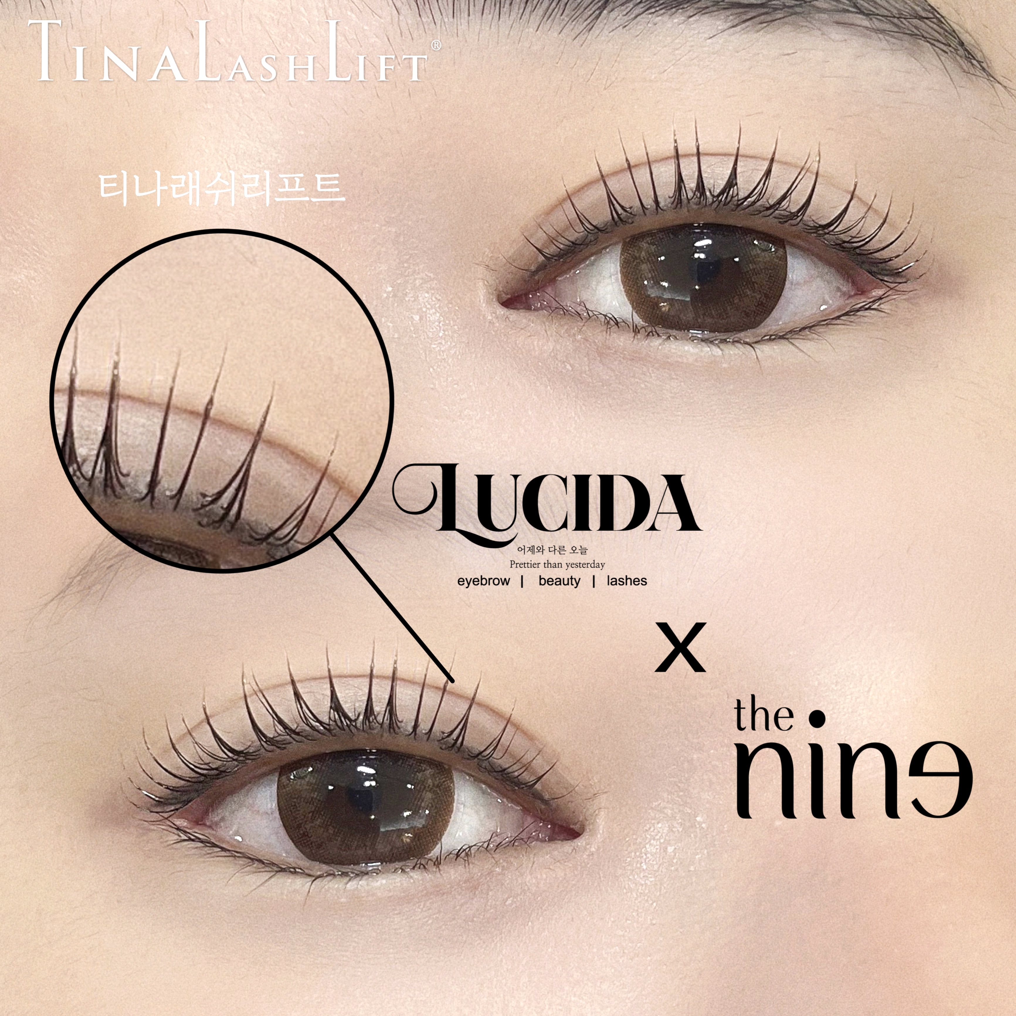 루시다 더나인 대표 이미지