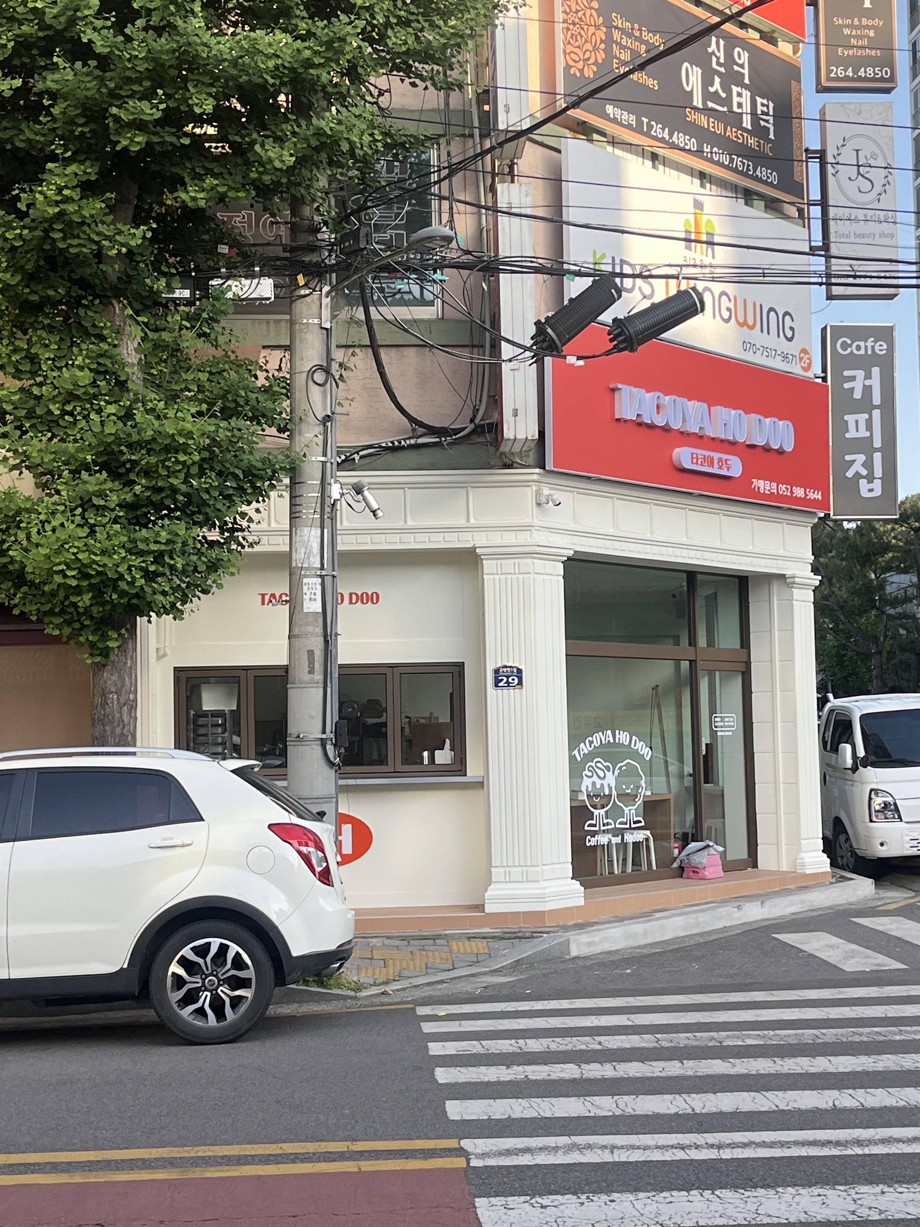 타코야호두