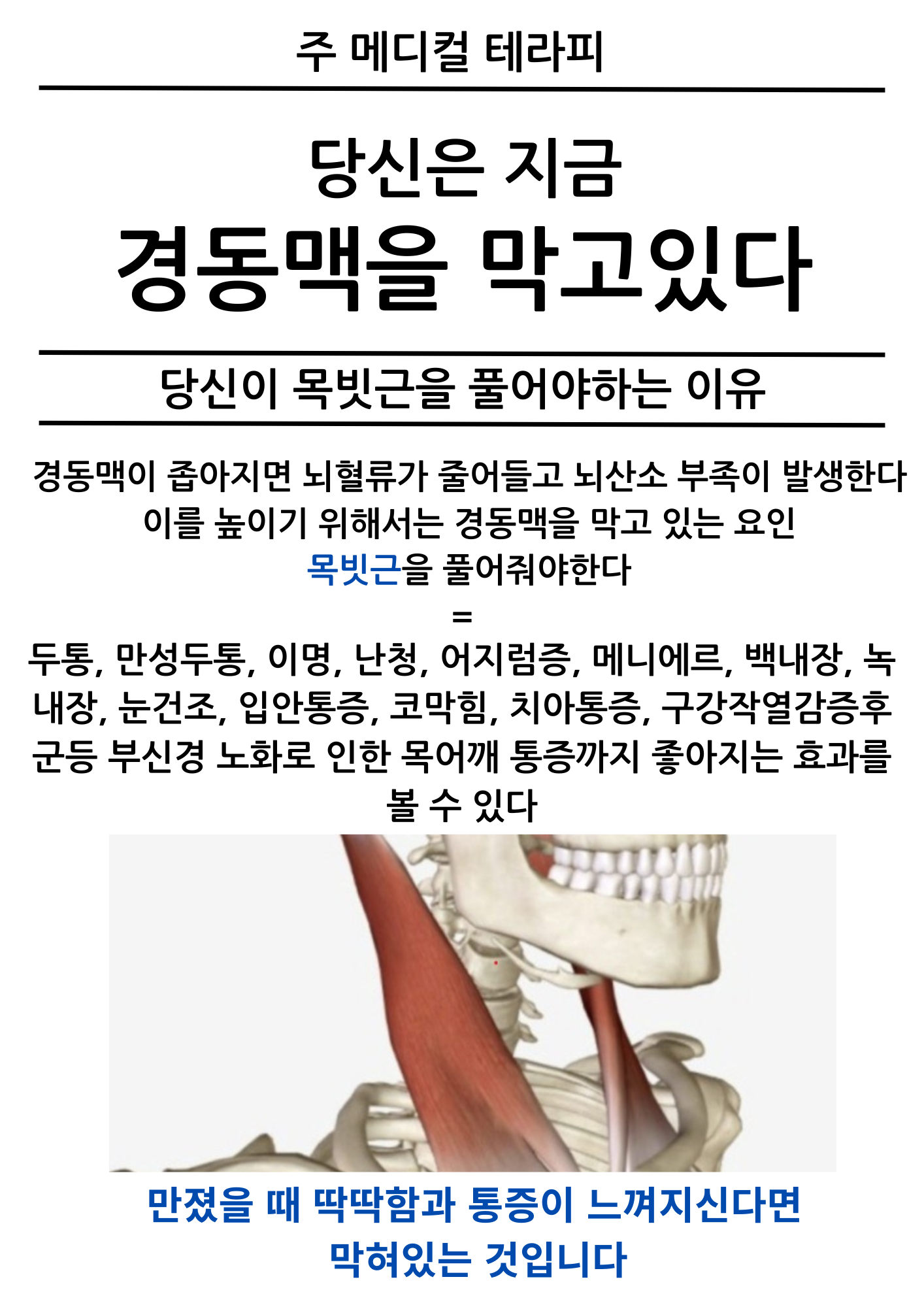 주메디컬테라피 photo 7