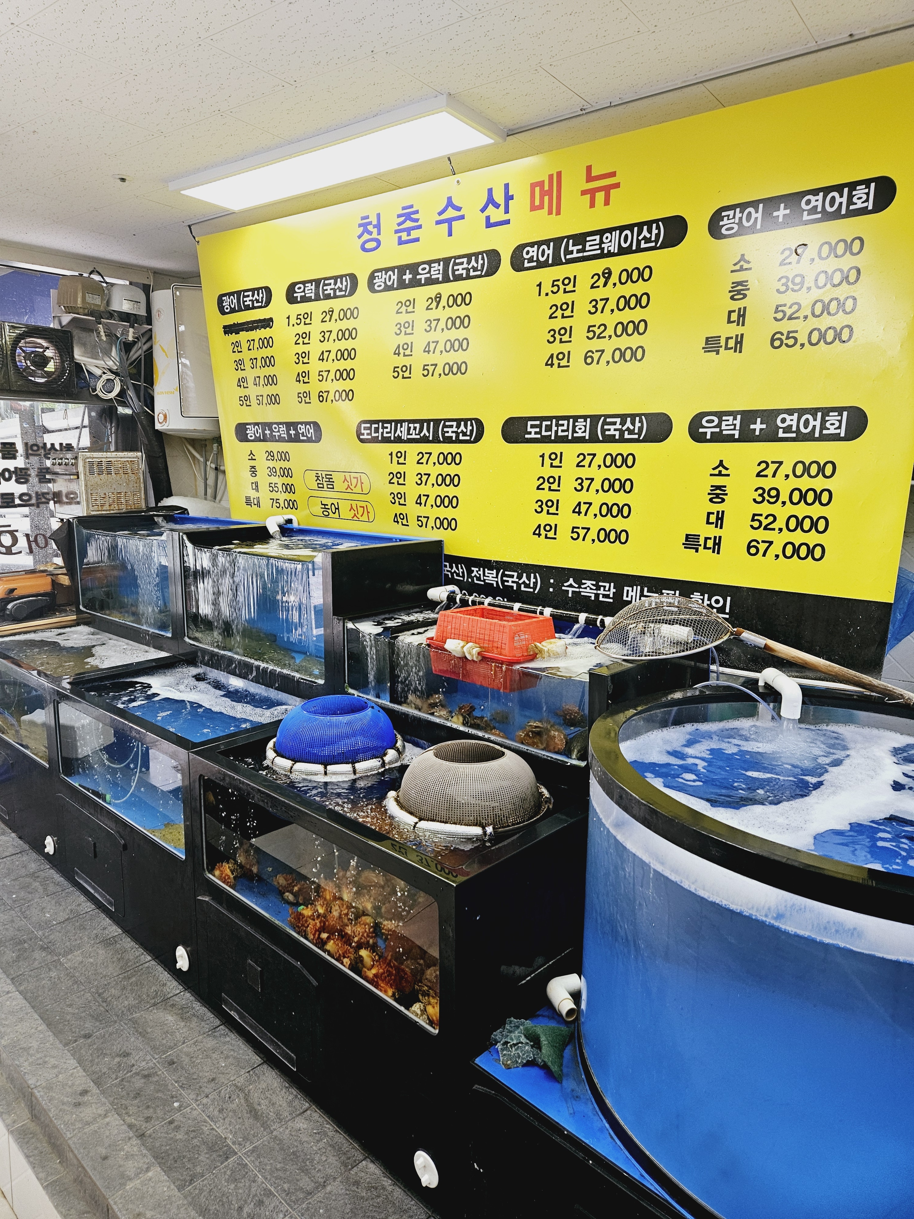 활어회 청춘수산
