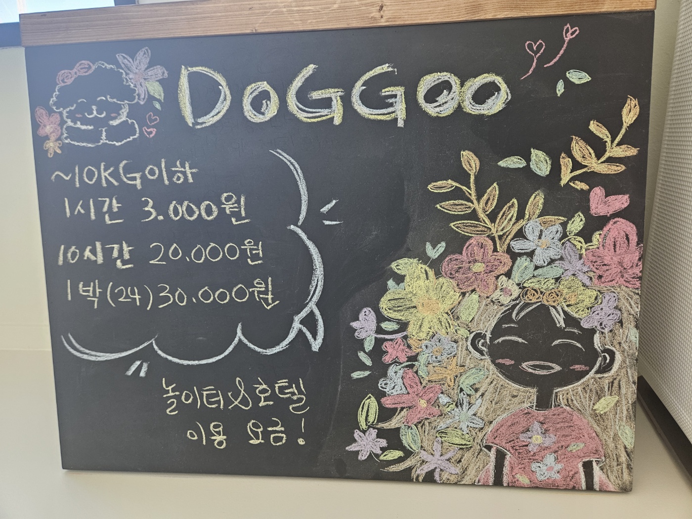 독구 대표 이미지