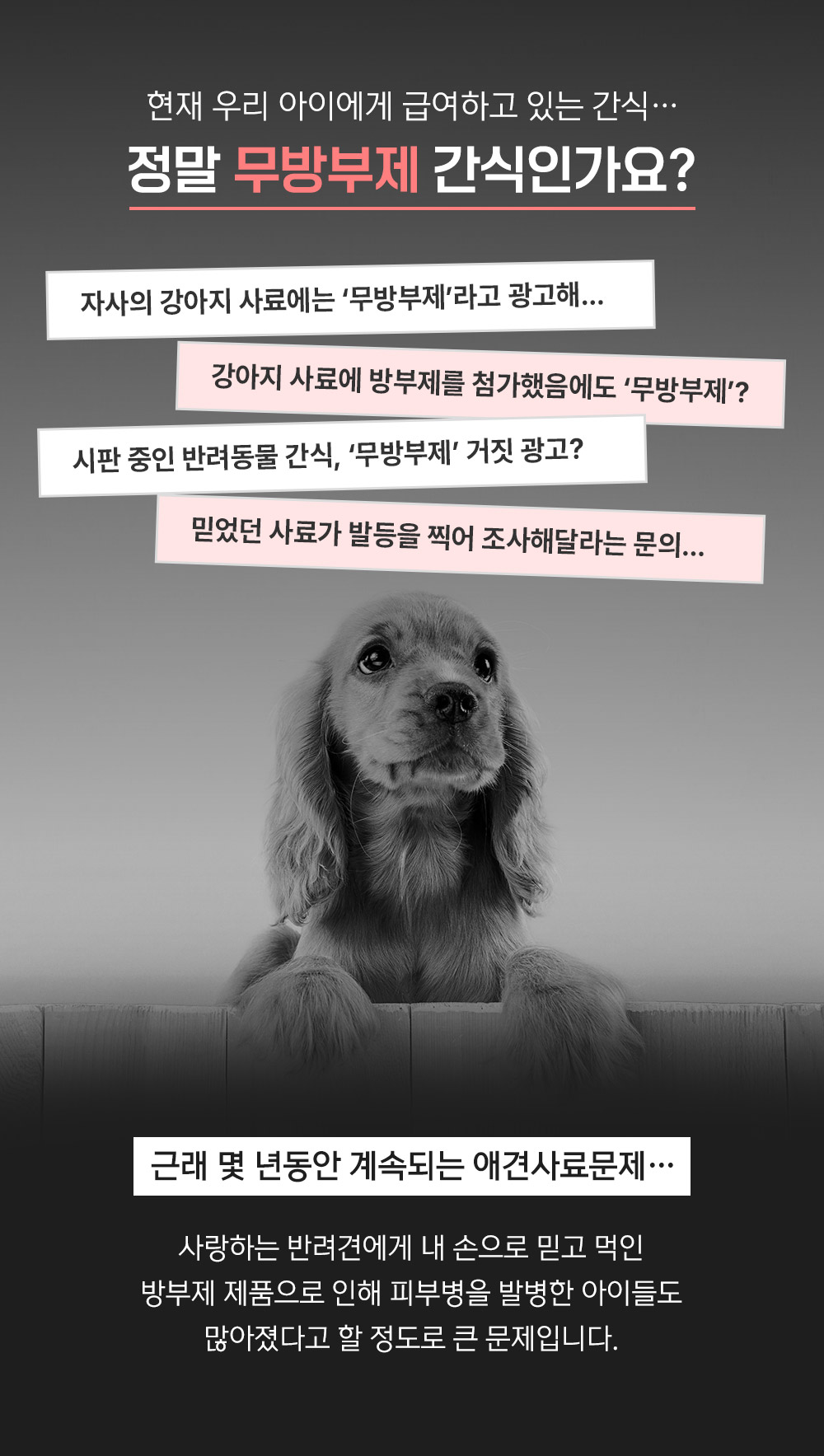 제로네간식타임 대표 이미지