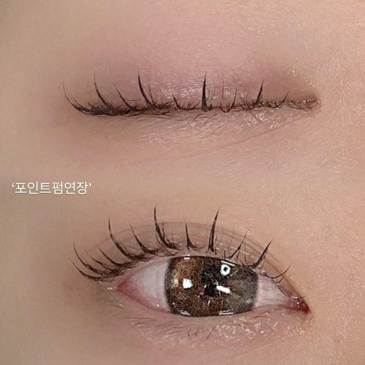 브로우제니아르 양주옥정점