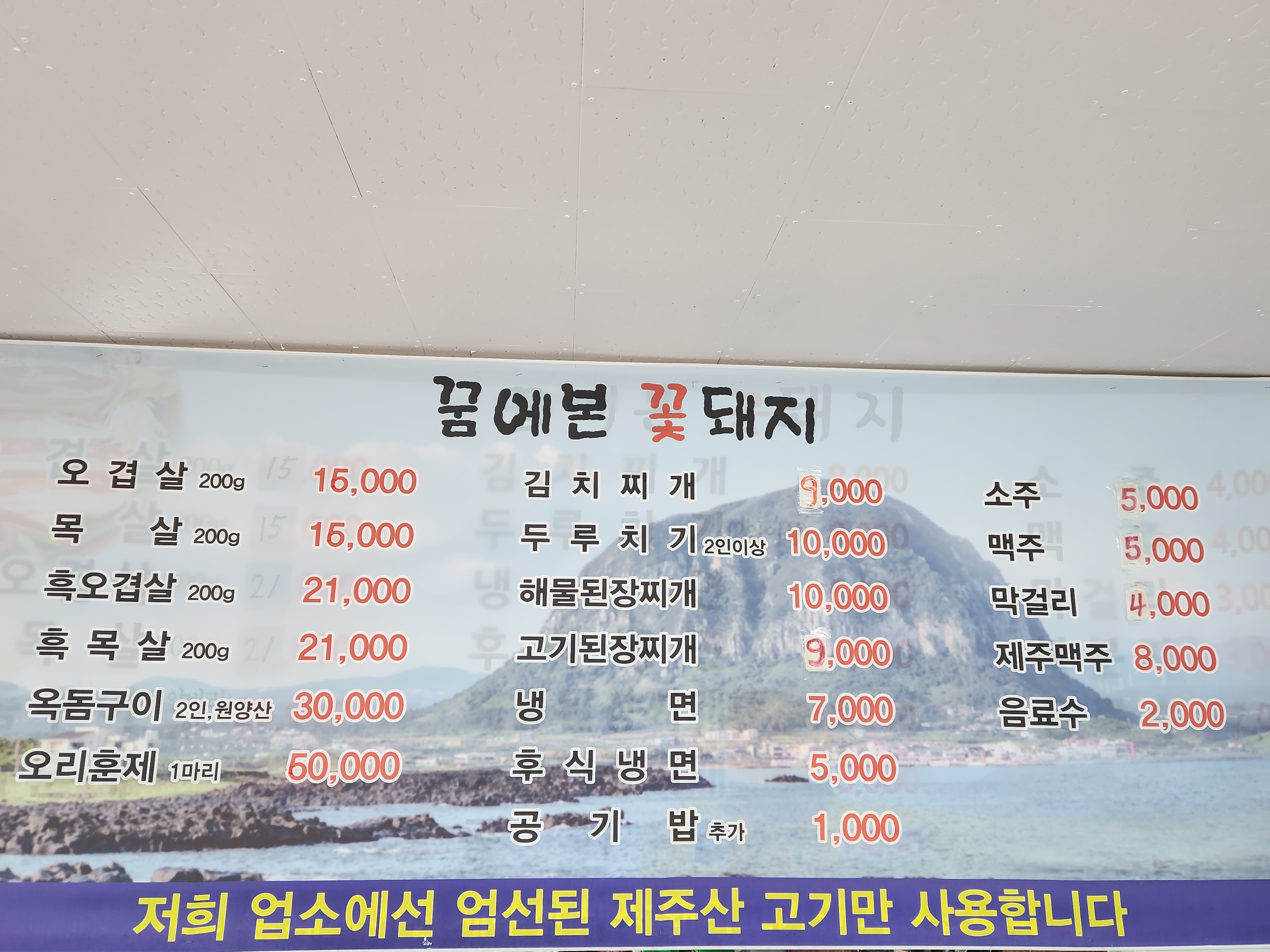 꿈에본꽃돼지