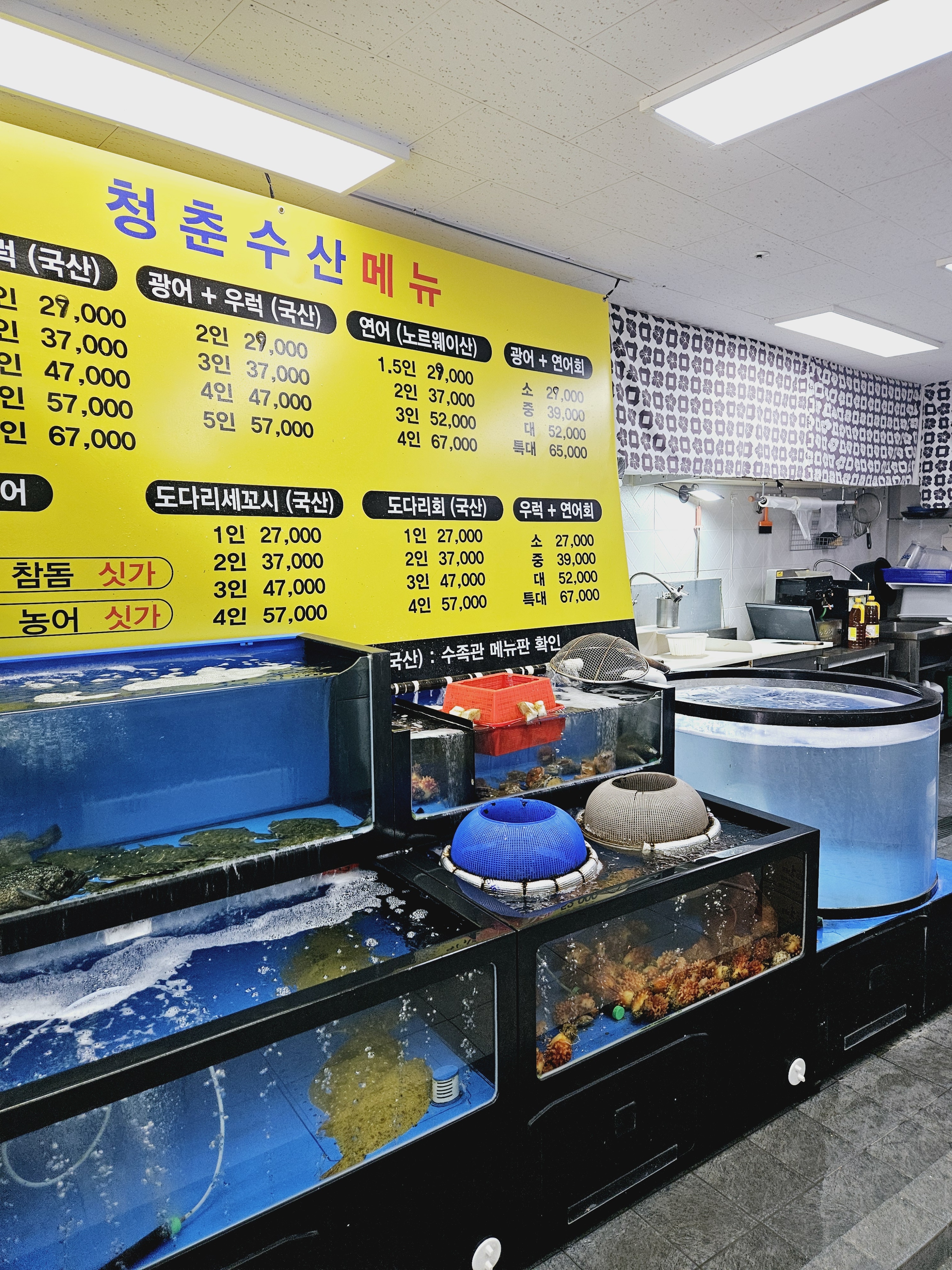 활어회 청춘수산