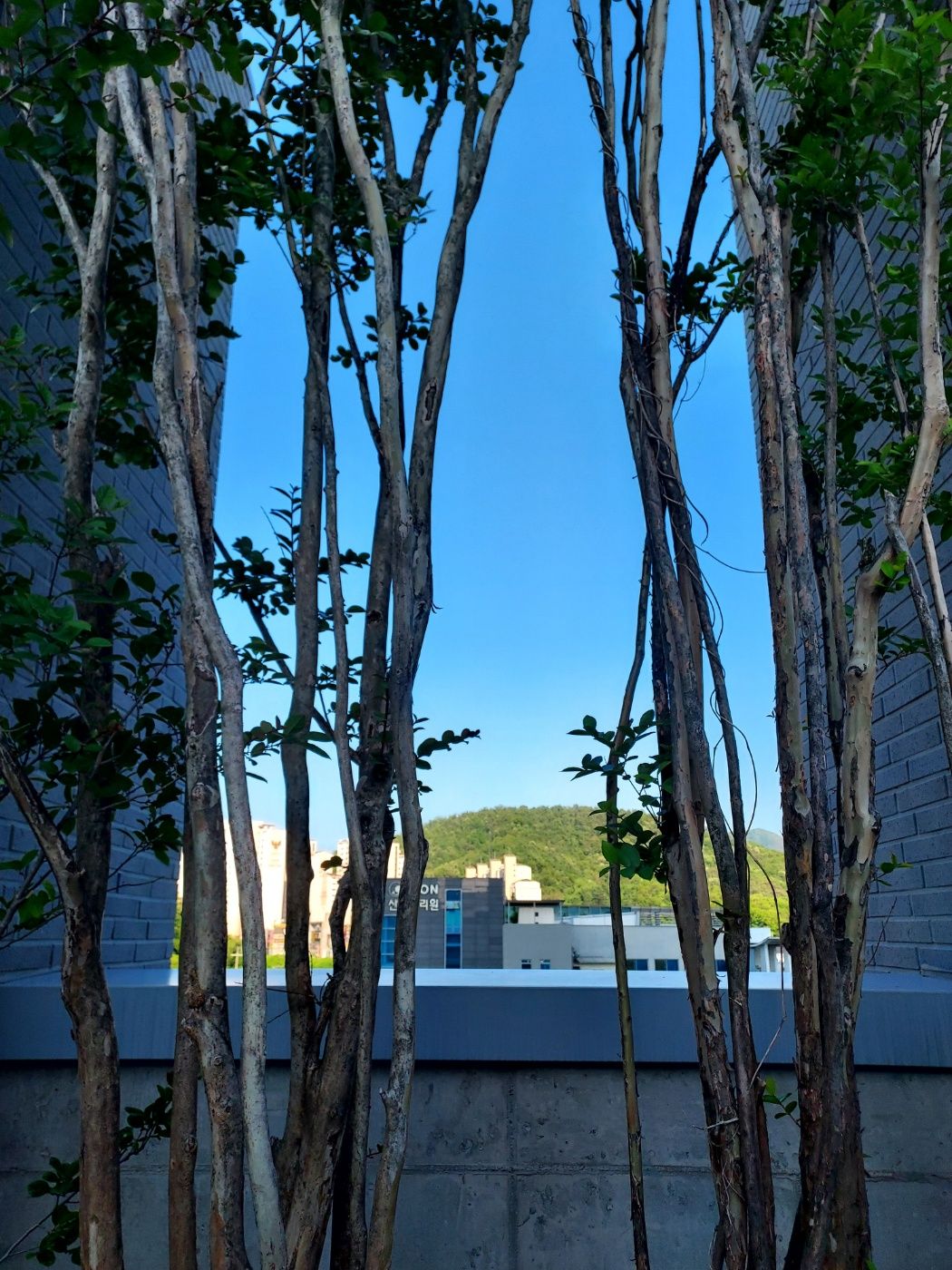 안견안과의원 대표 이미지