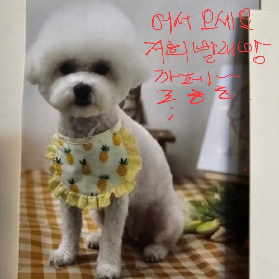 컨비니언스 무인카페 & 셀프 빨래방